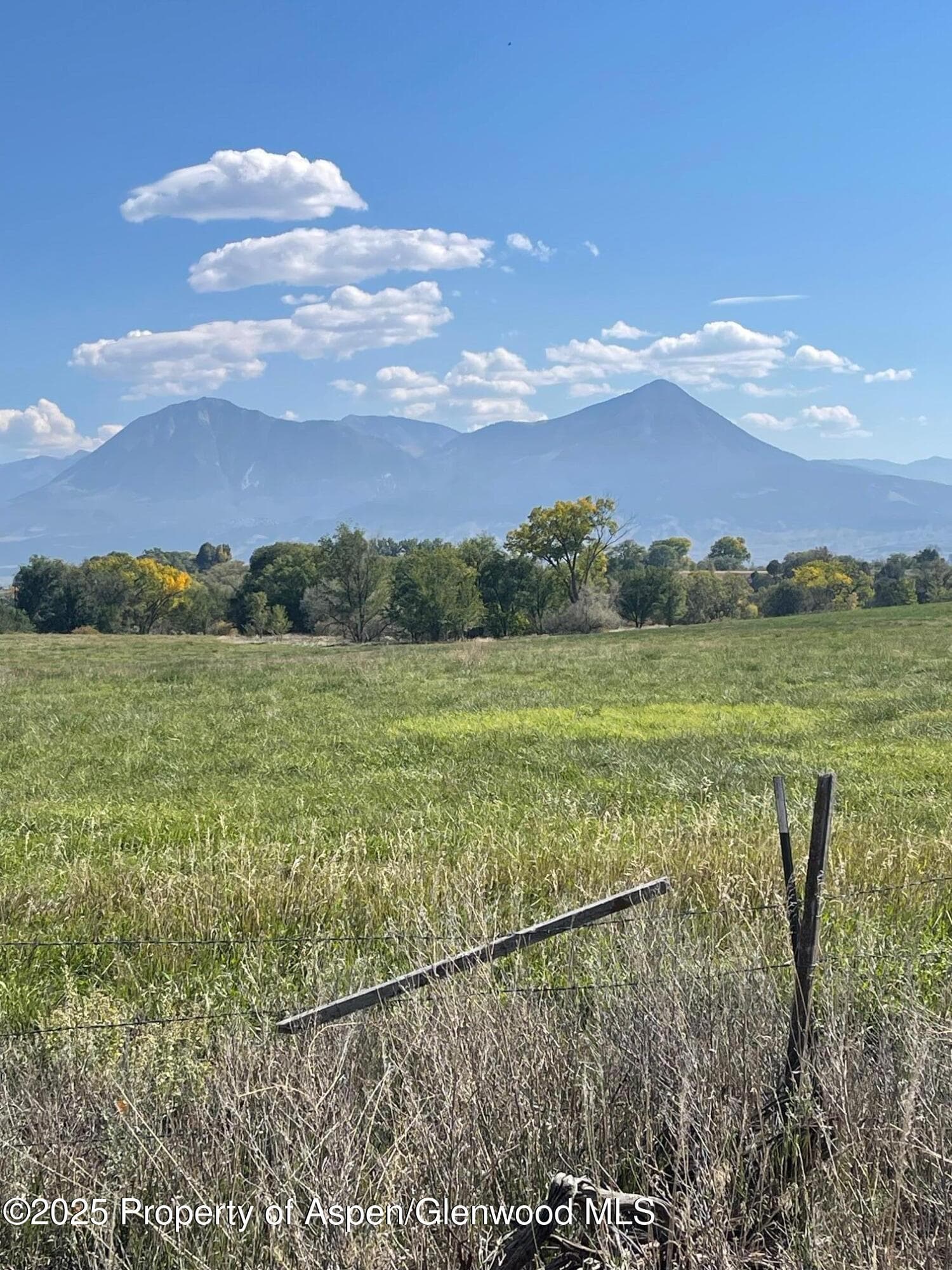 Tbd 3300 Road, Hotchkiss, CO 81419 - Photo 2