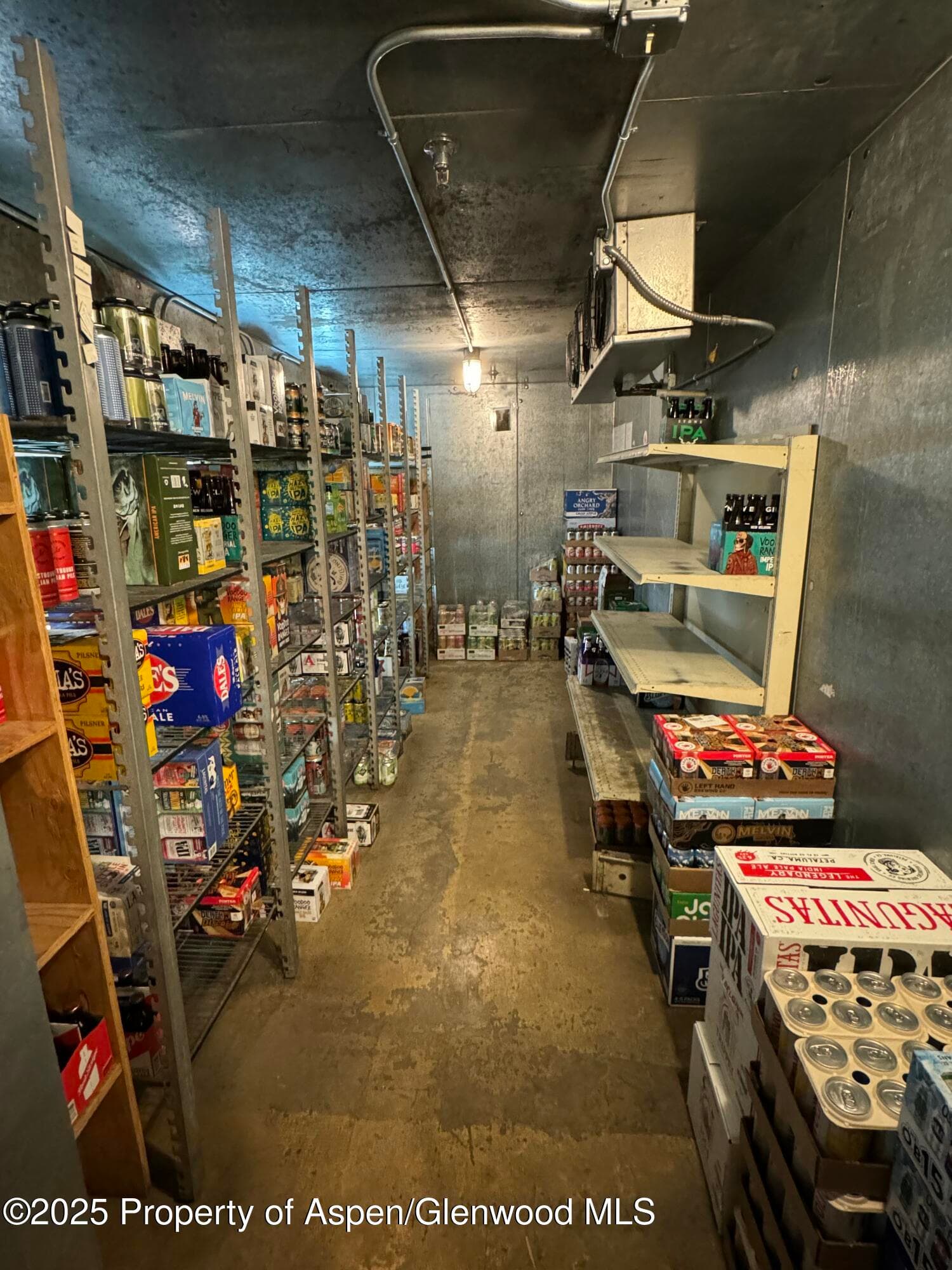 710 E Durant Avenue W-1 & W-2, Aspen, CO 81611 - Photo 18