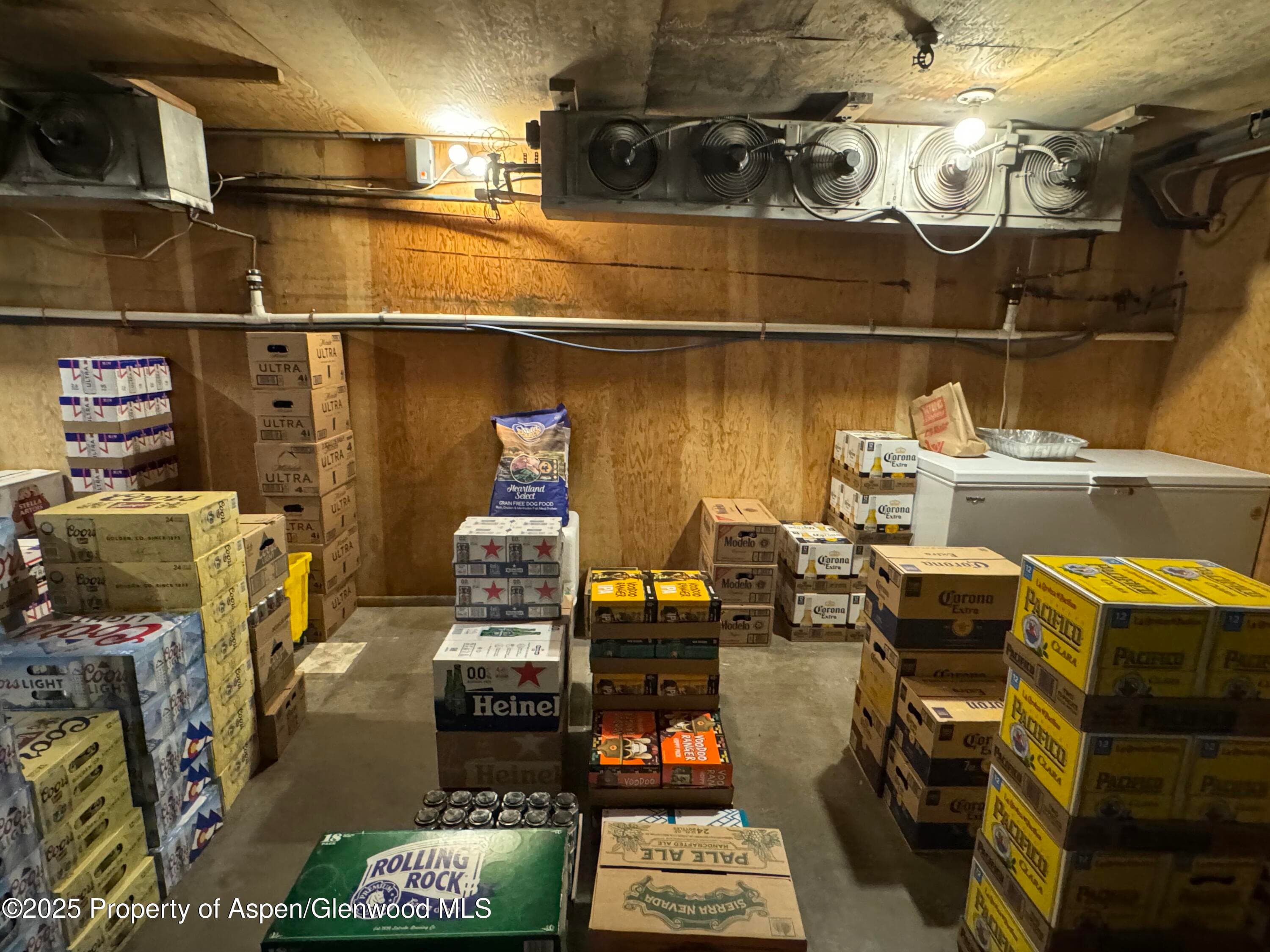 710 E Durant Avenue W-1 & W-2, Aspen, CO 81611 - Photo 16