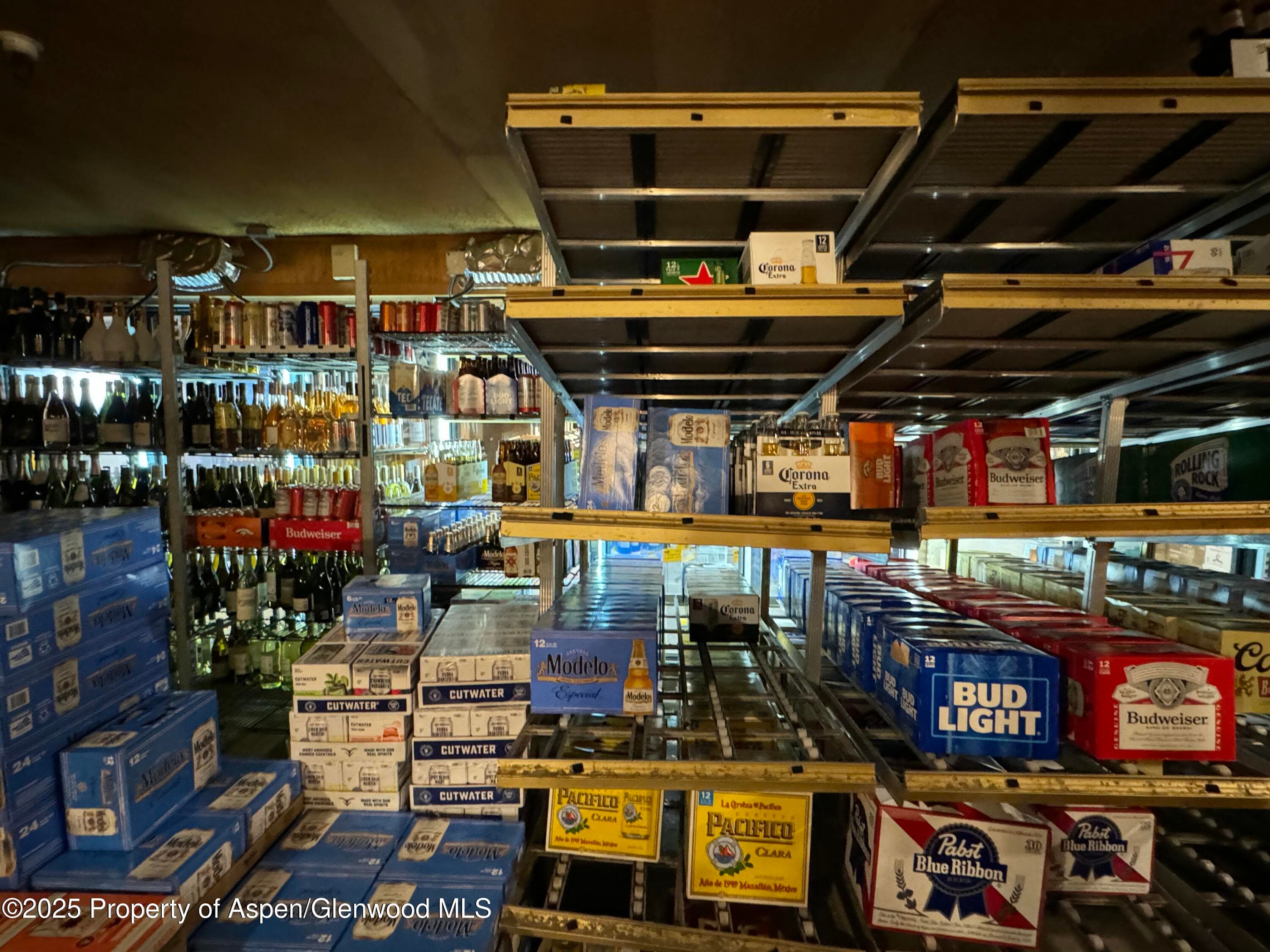 710 E Durant Avenue W-1 & W-2, Aspen, CO 81611 - Photo 14