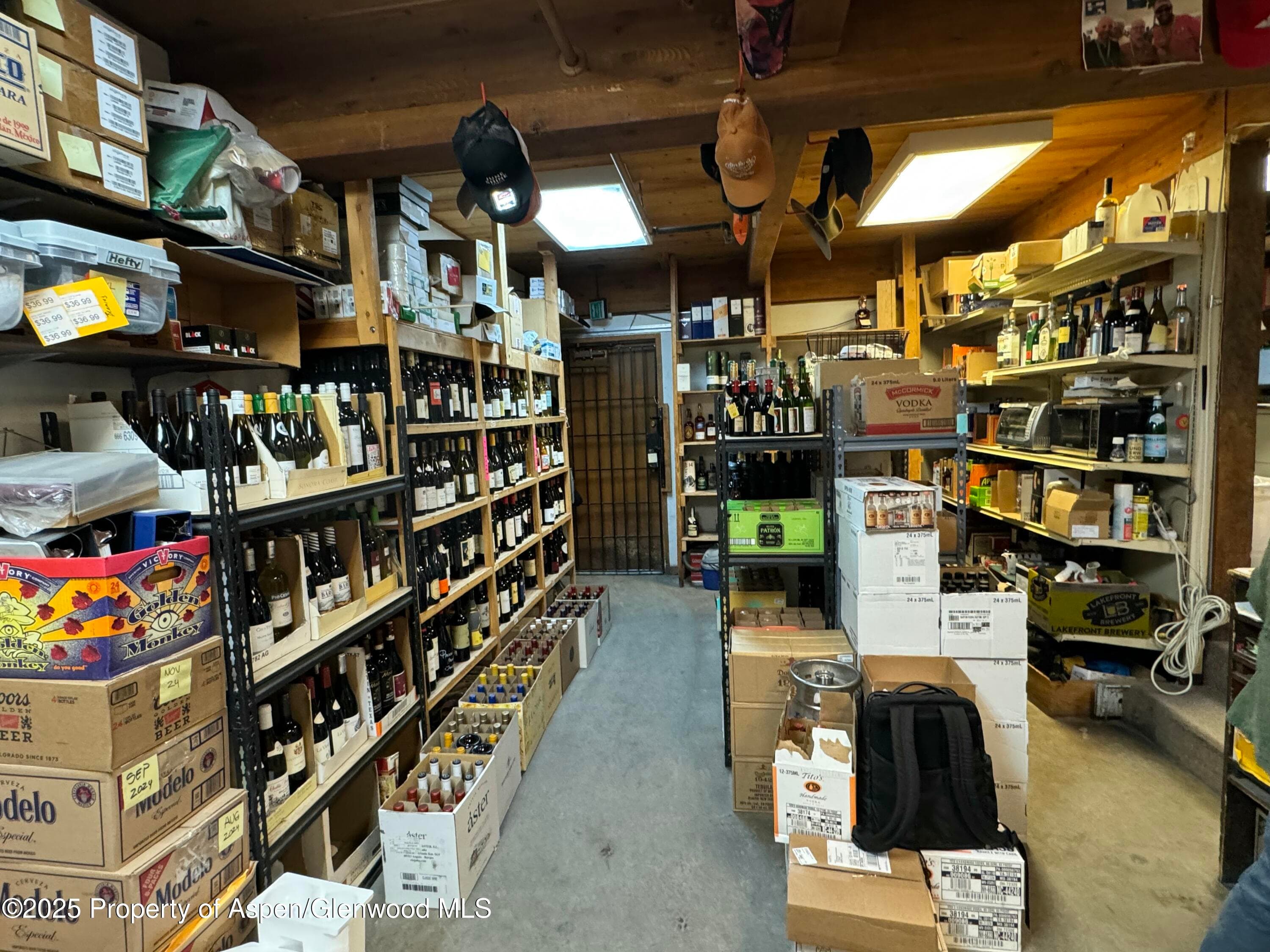 710 E Durant Avenue W-1 & W-2, Aspen, CO 81611 - Photo 13