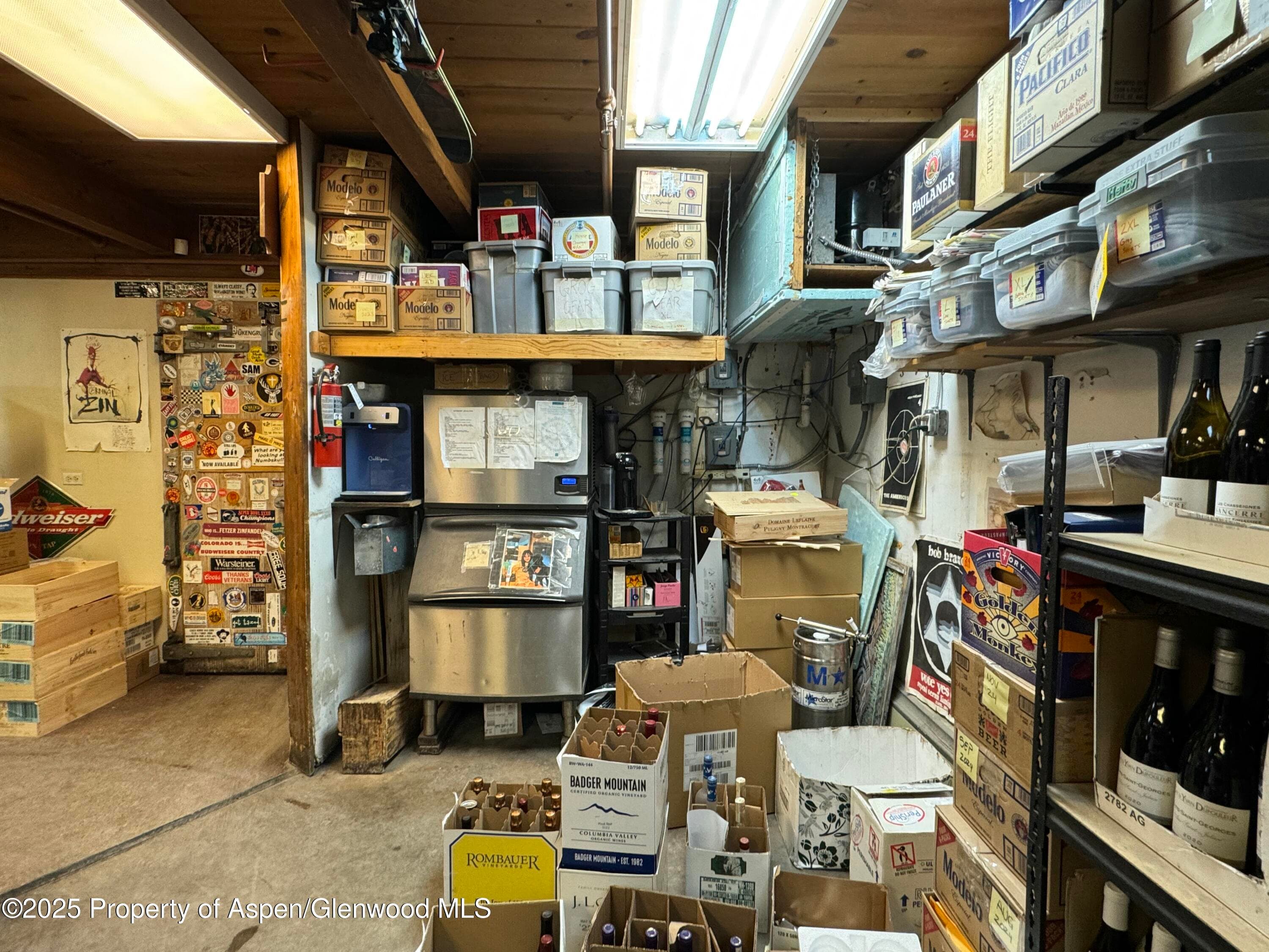 710 E Durant Avenue W-1 & W-2, Aspen, CO 81611 - Photo 12