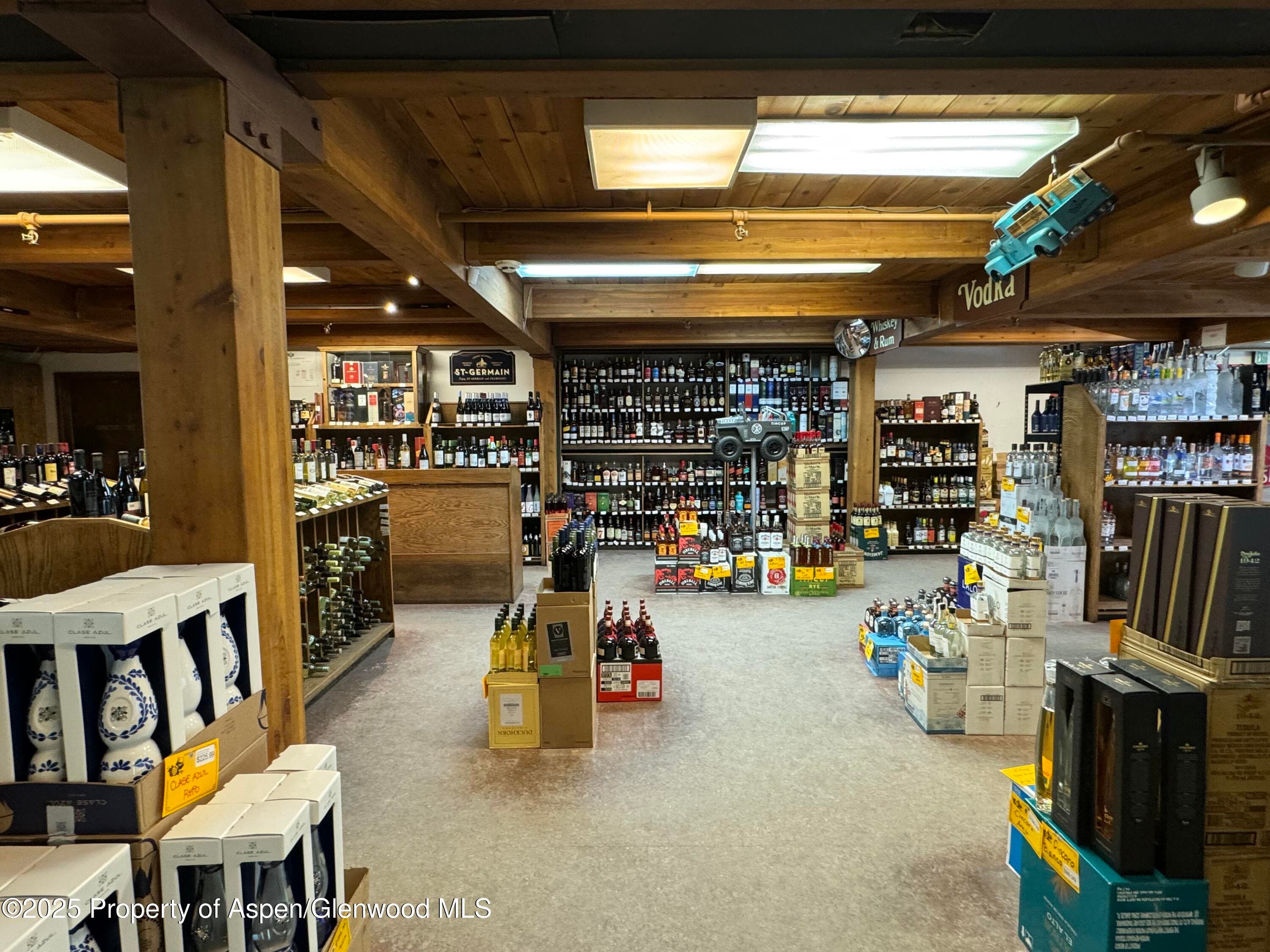 710 E Durant Avenue W-1 & W-2, Aspen, CO 81611 - Photo 6