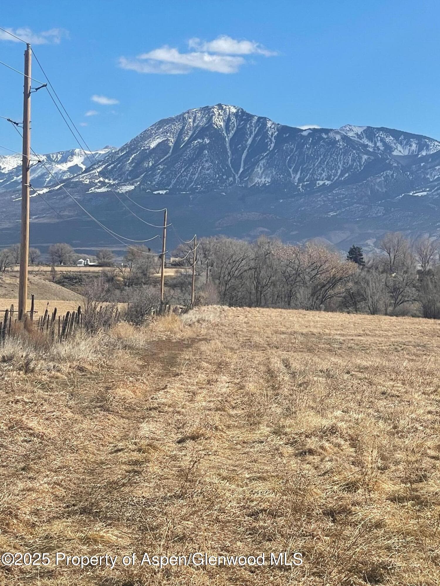 Tbd 3300 Road, Hotchkiss, CO 81419 - Photo 15