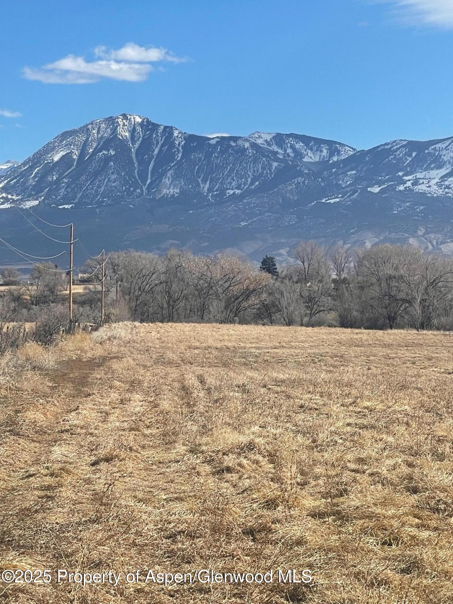 Tbd 3300 Road, Hotchkiss, CO 81419 - Photo 16