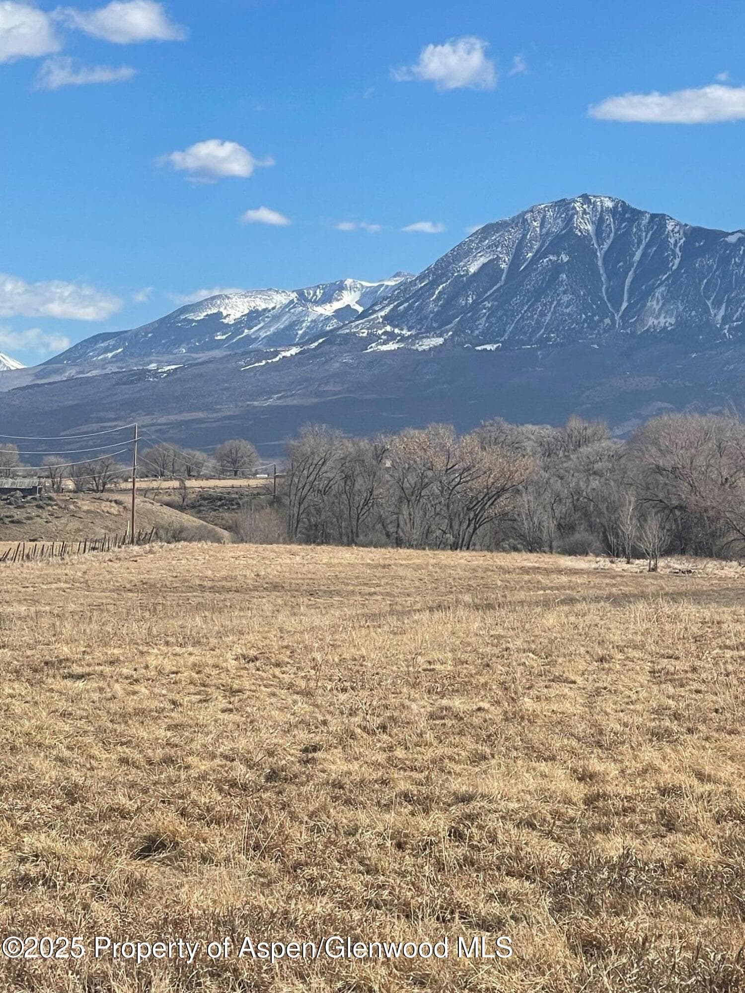 Tbd 3300 Road, Hotchkiss, CO 81419 - Photo 17