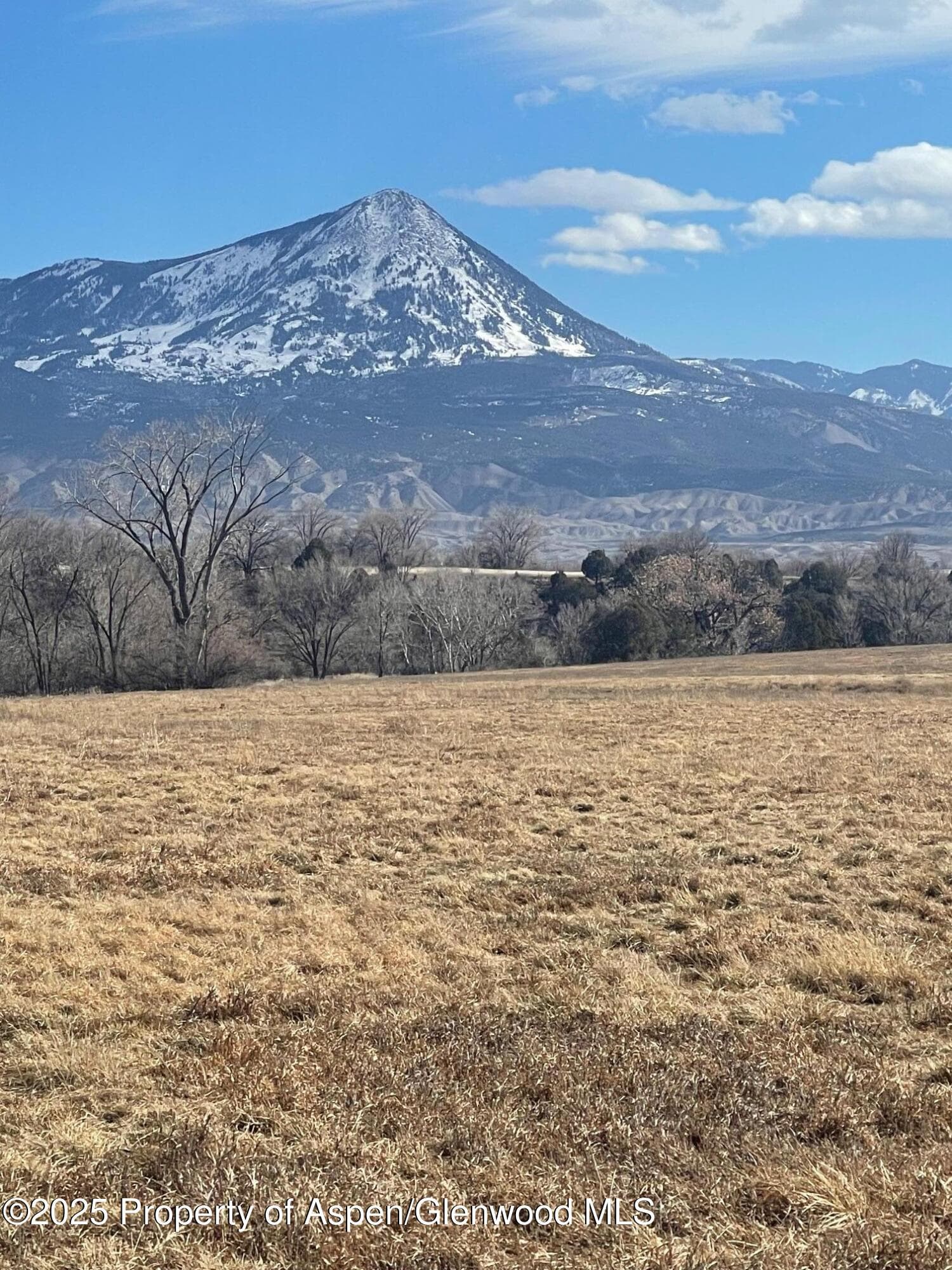 Tbd 3300 Road, Hotchkiss, CO 81419 - Photo 19