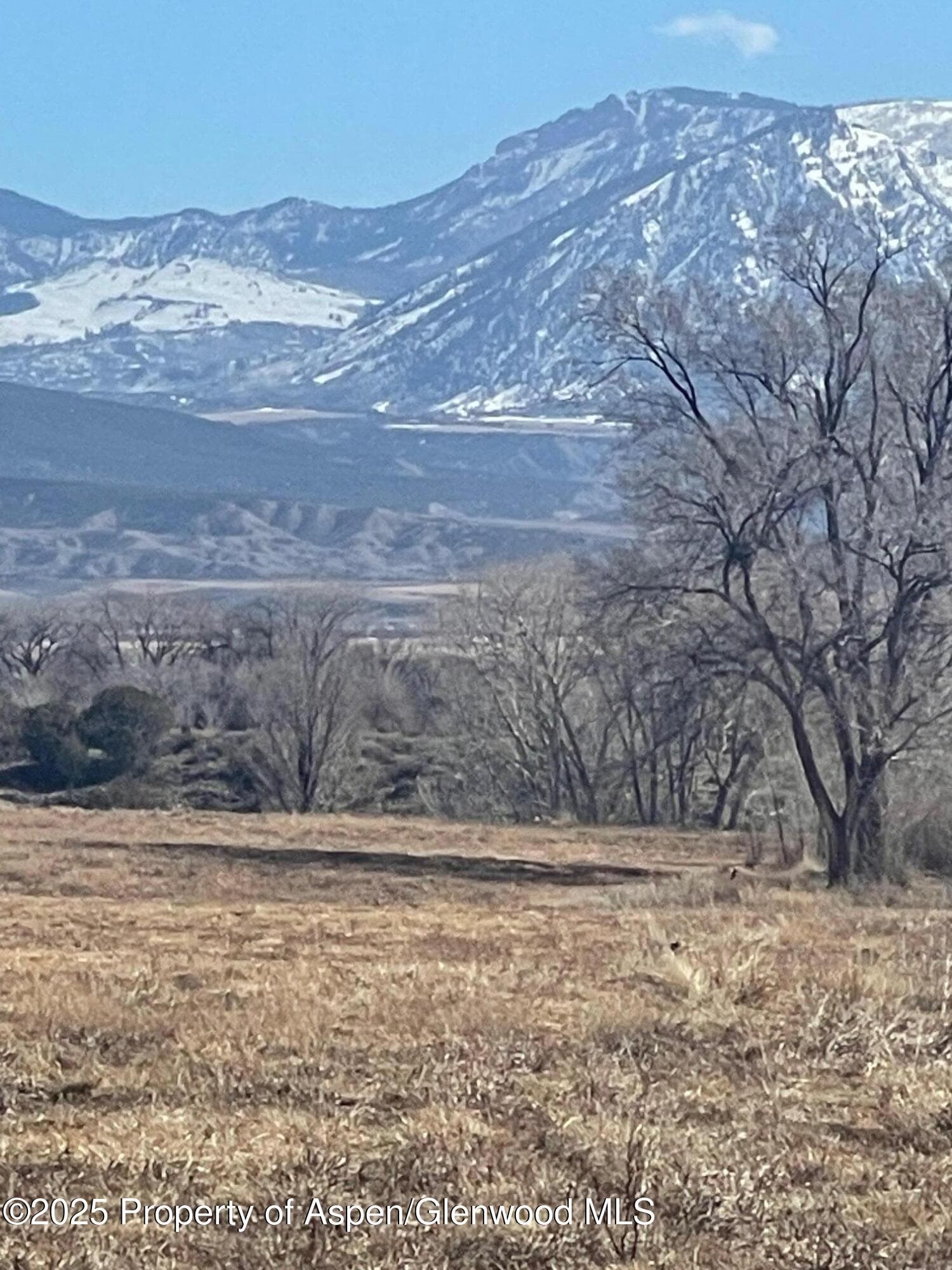 Tbd 3300 Road, Hotchkiss, CO 81419 - Photo 20