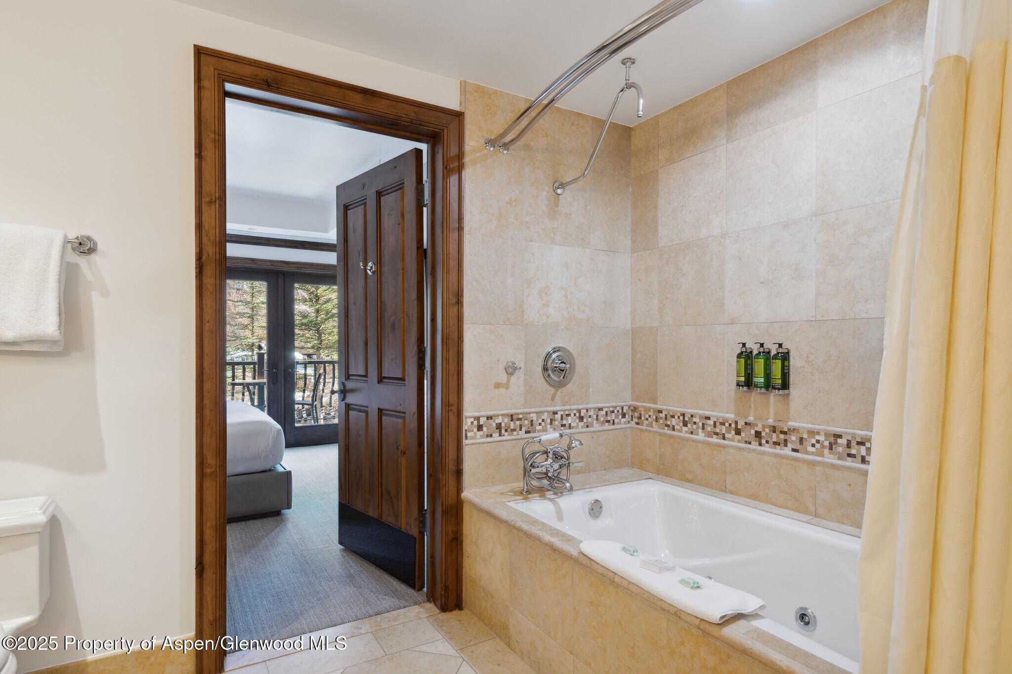 415 E Dean St, Unit 21, Week 10, Aspen, CO 81611 - Photo 12