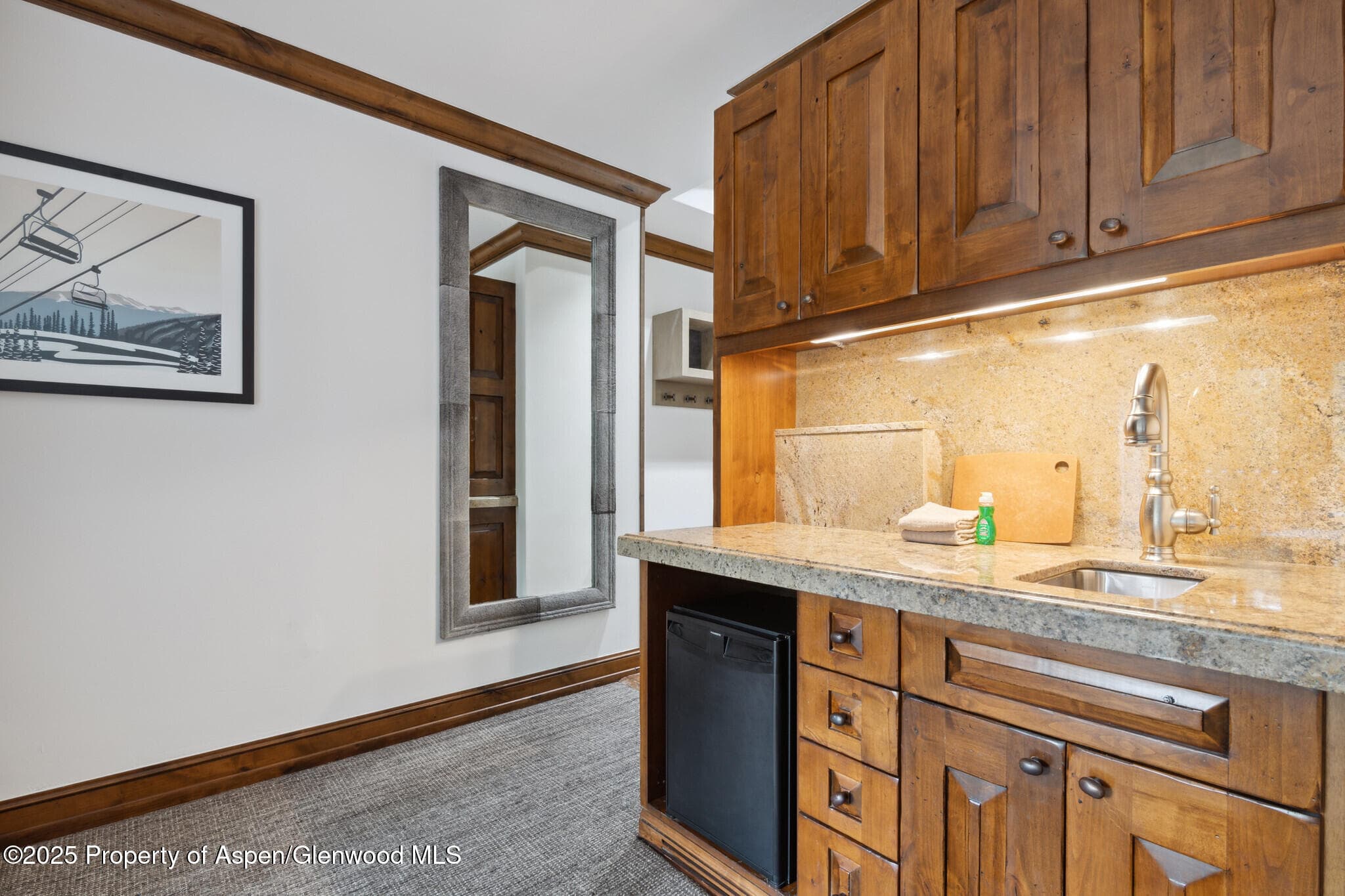 415 E Dean St, Unit 21, Week 10, Aspen, CO 81611 - Photo 17