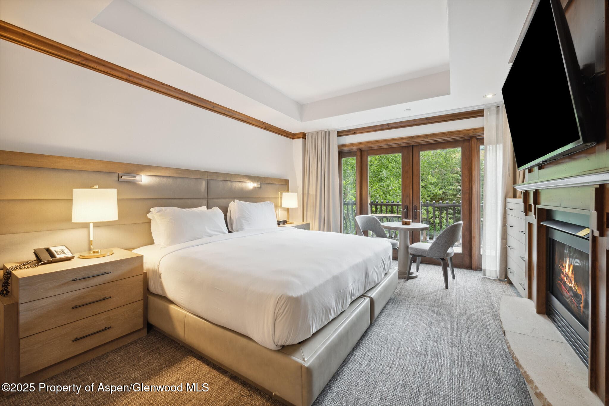 415 E Dean St, Unit 21, Week 10, Aspen, CO 81611 - Photo 14