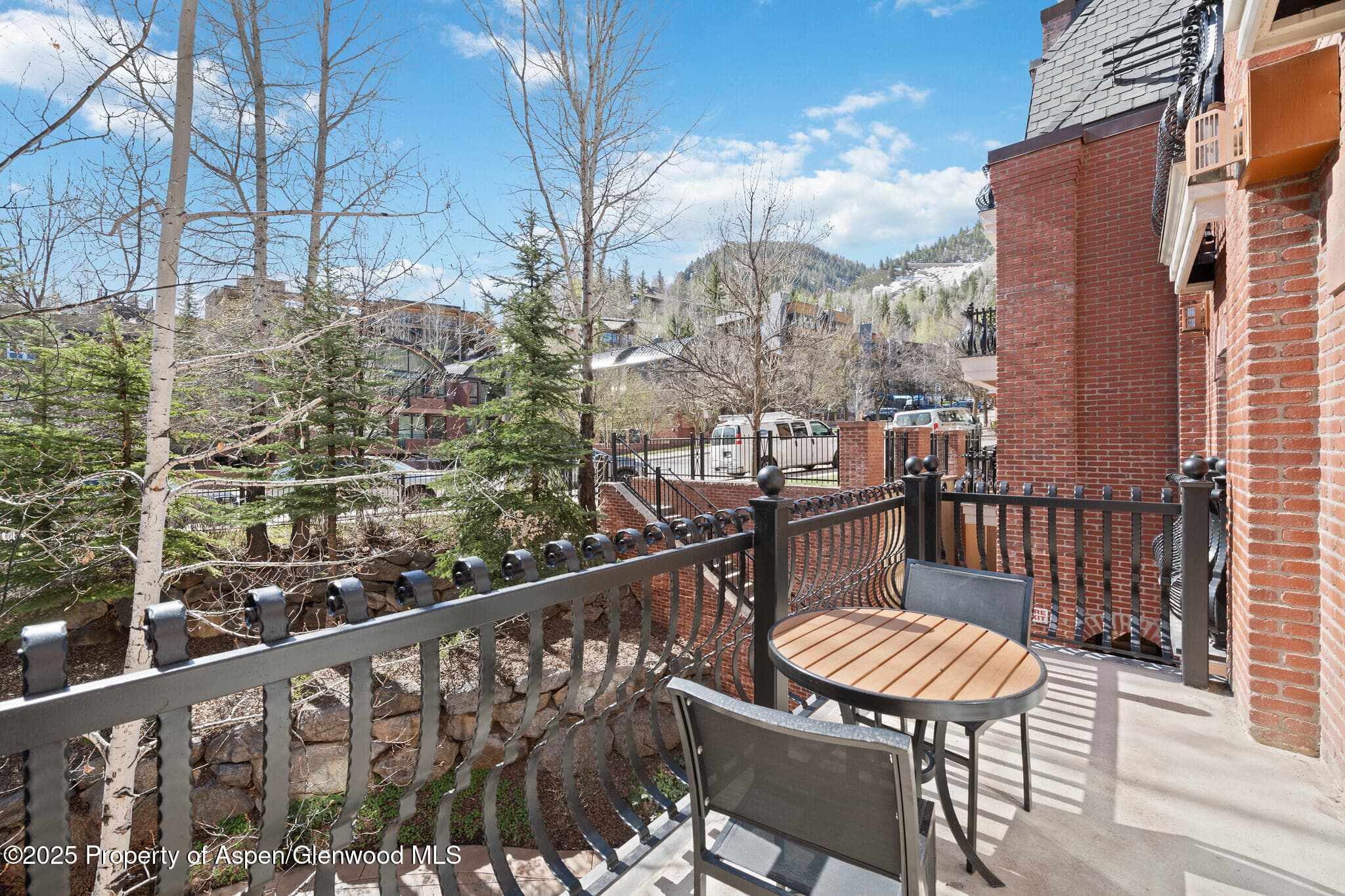 415 E Dean St, Unit 21, Week 10, Aspen, CO 81611 - Photo 24