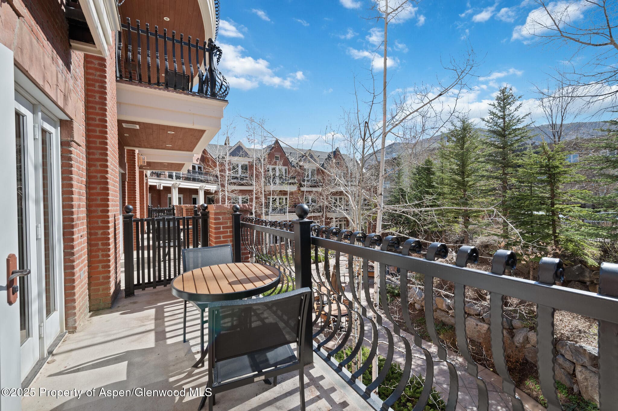 415 E Dean St, Unit 21, Week 10, Aspen, CO 81611 - Photo 26