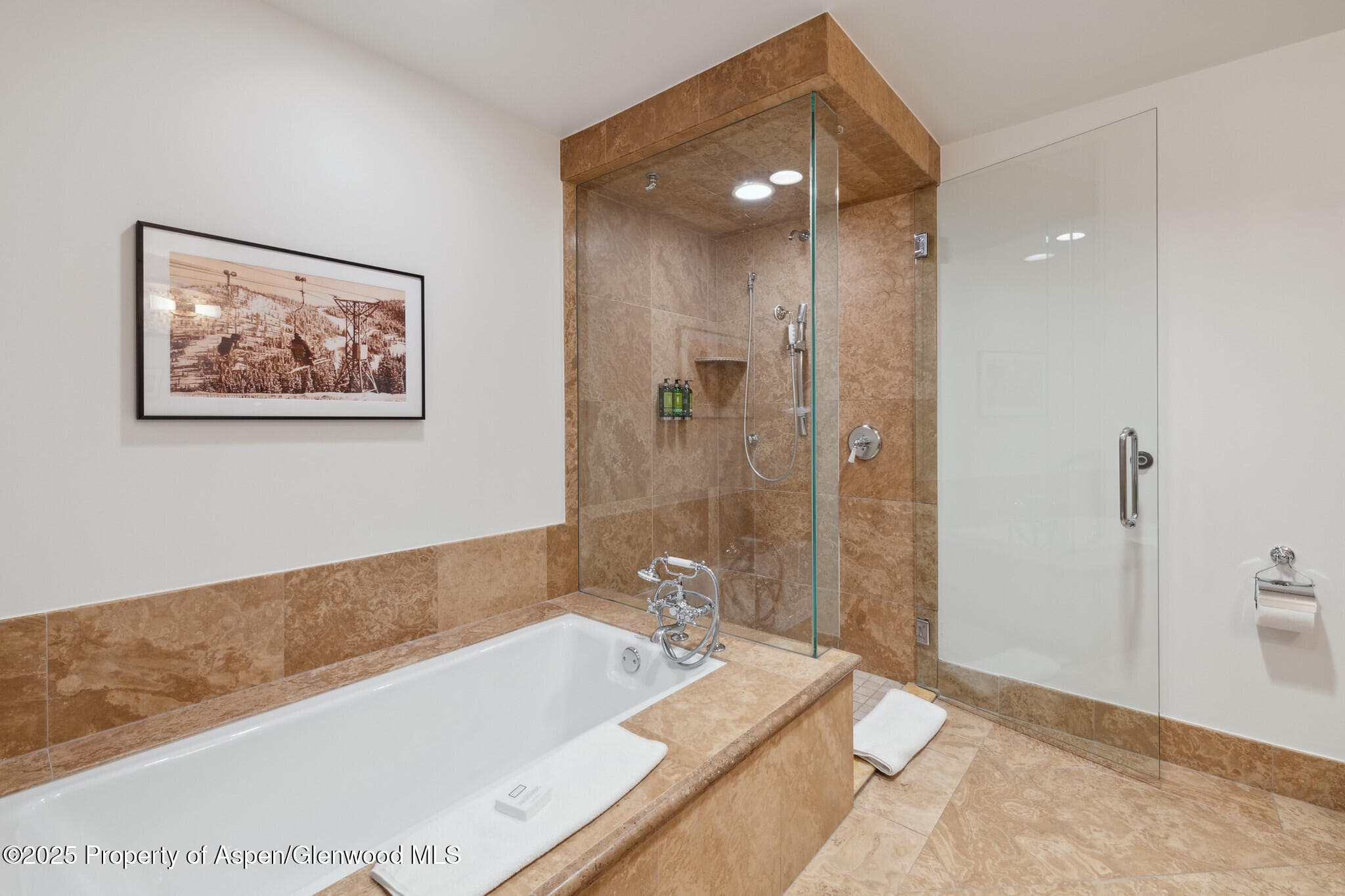 415 E Dean St, Unit 21, Week 10, Aspen, CO 81611 - Photo 27