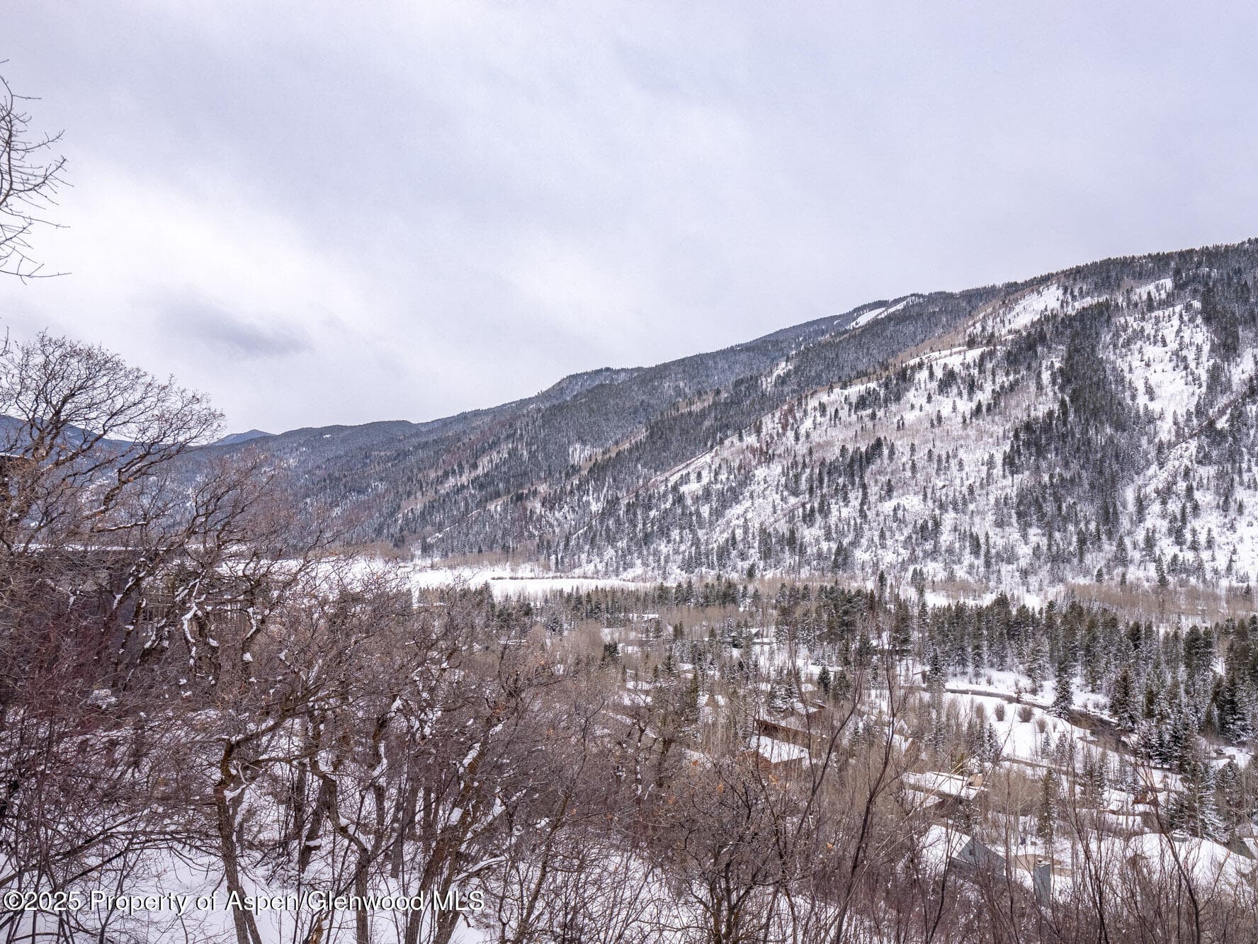 780 Mountain Laurel Drive, Aspen, CO 81611 - Photo 41