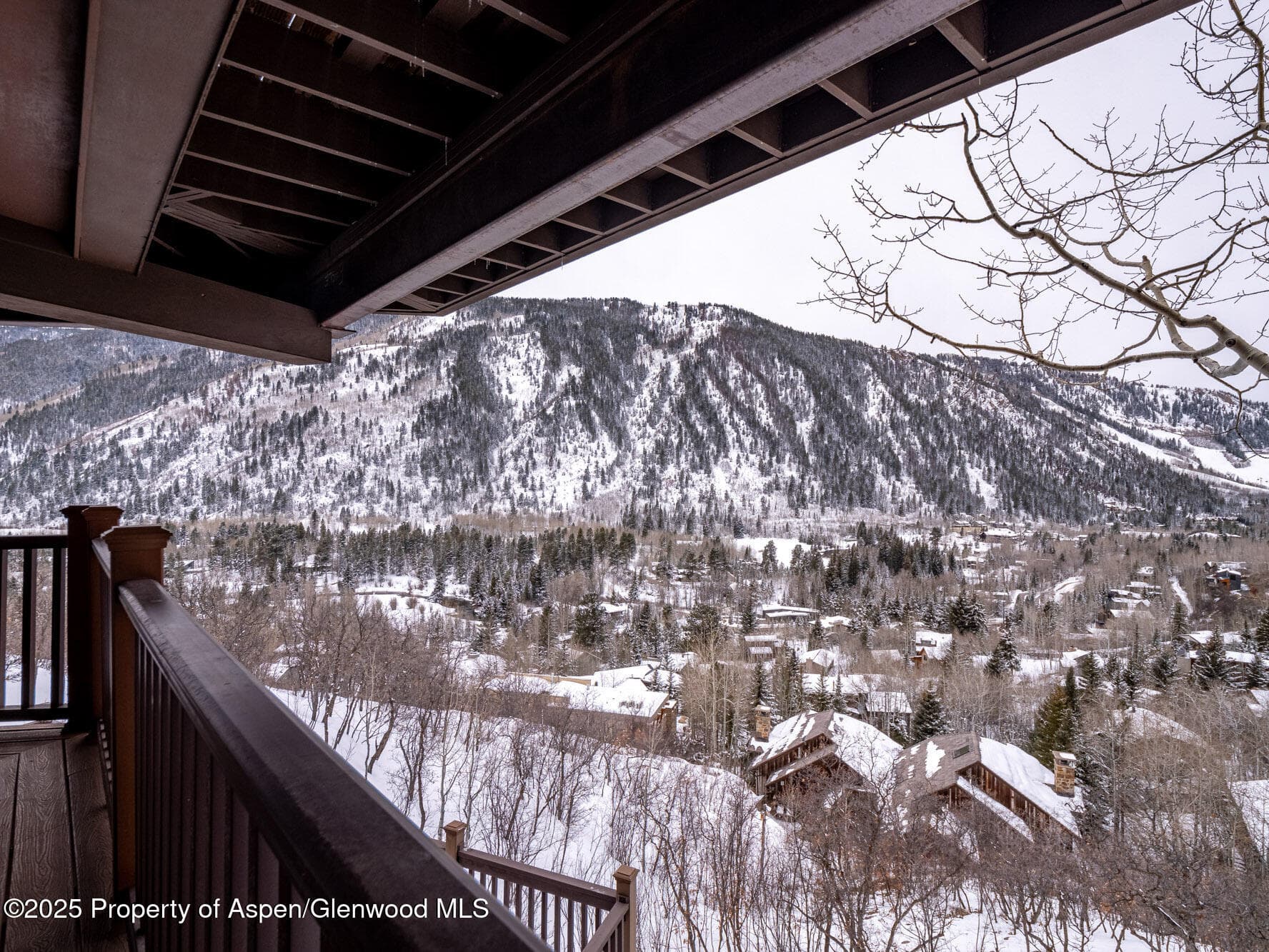 780 Mountain Laurel Drive, Aspen, CO 81611 - Photo 45