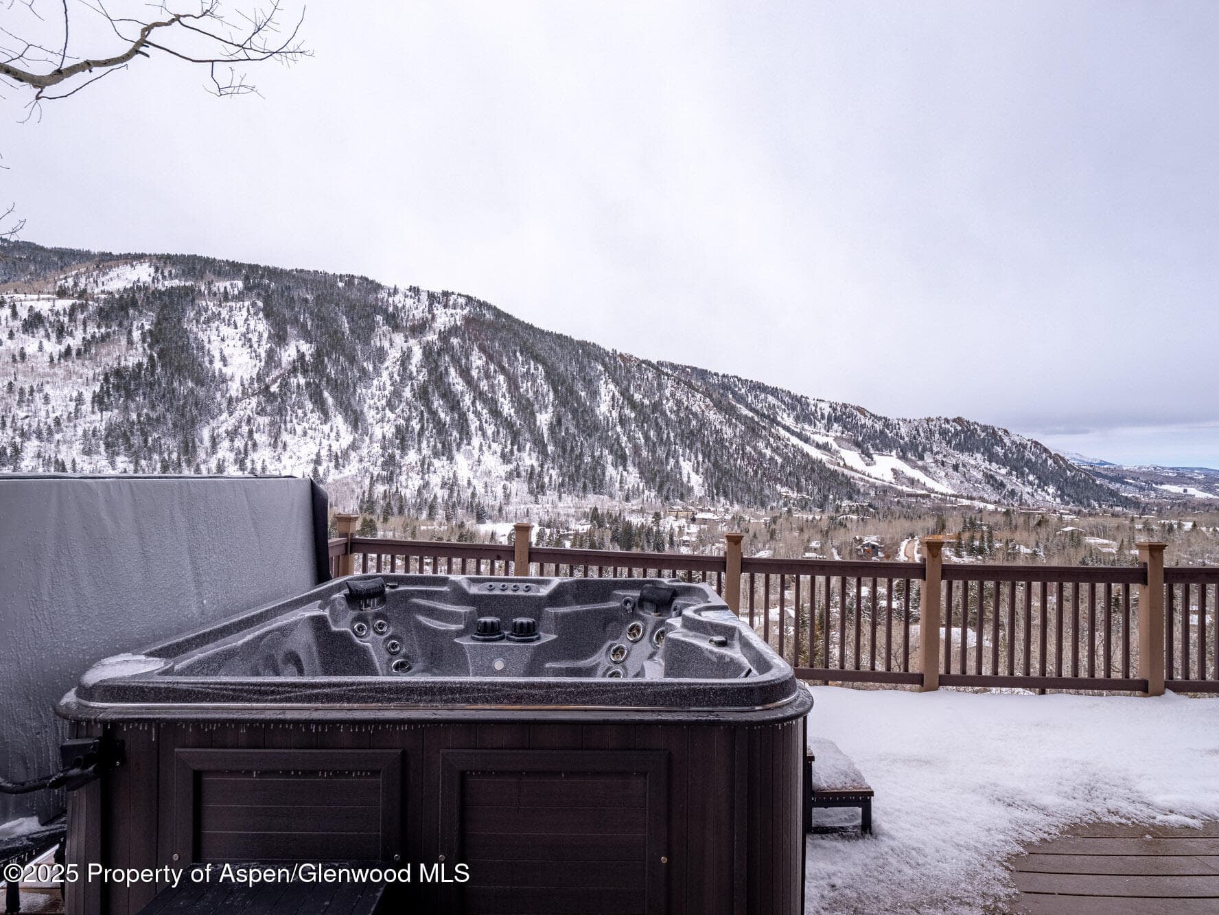 780 Mountain Laurel Drive, Aspen, CO 81611 - Photo 46