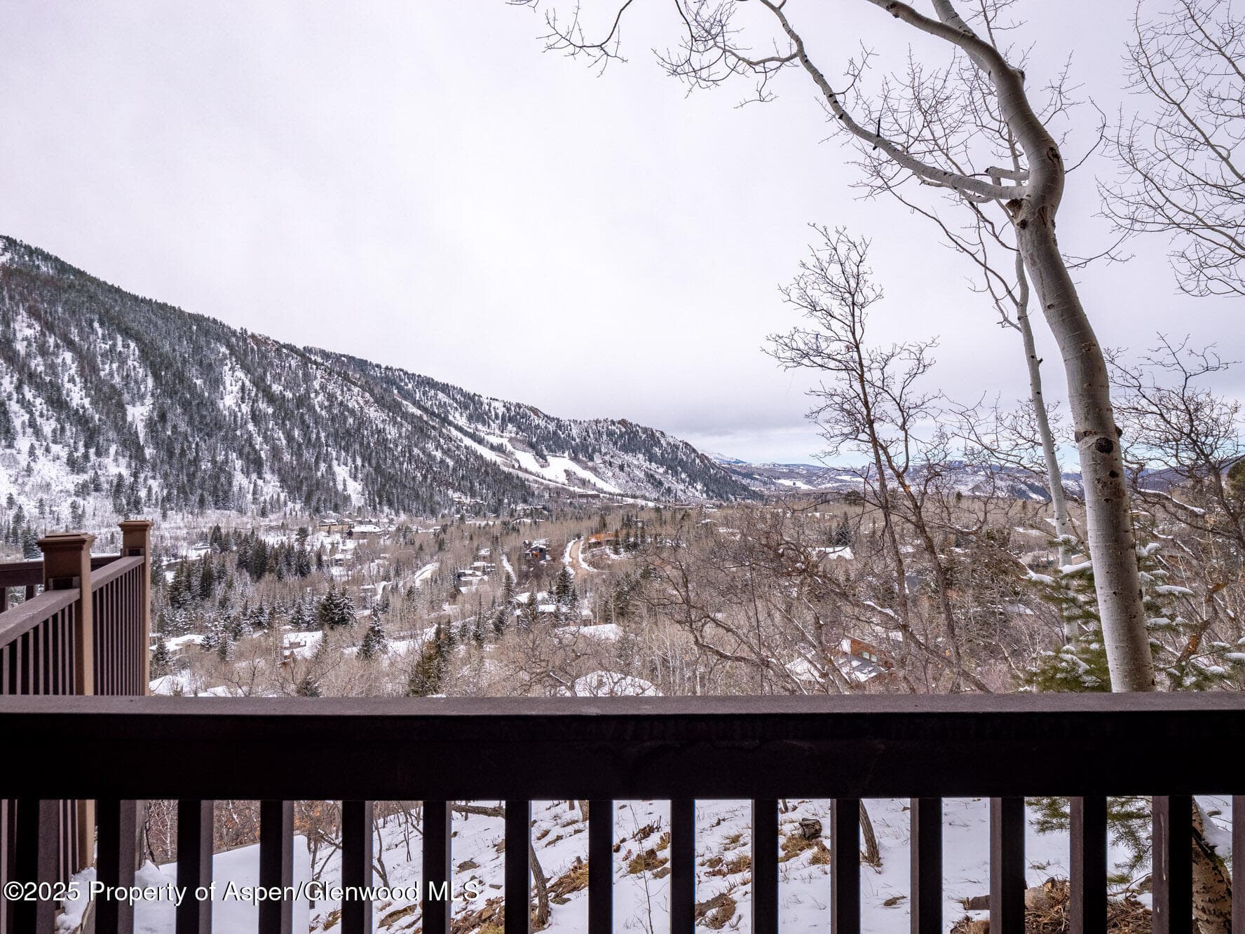 780 Mountain Laurel Drive, Aspen, CO 81611 - Photo 47