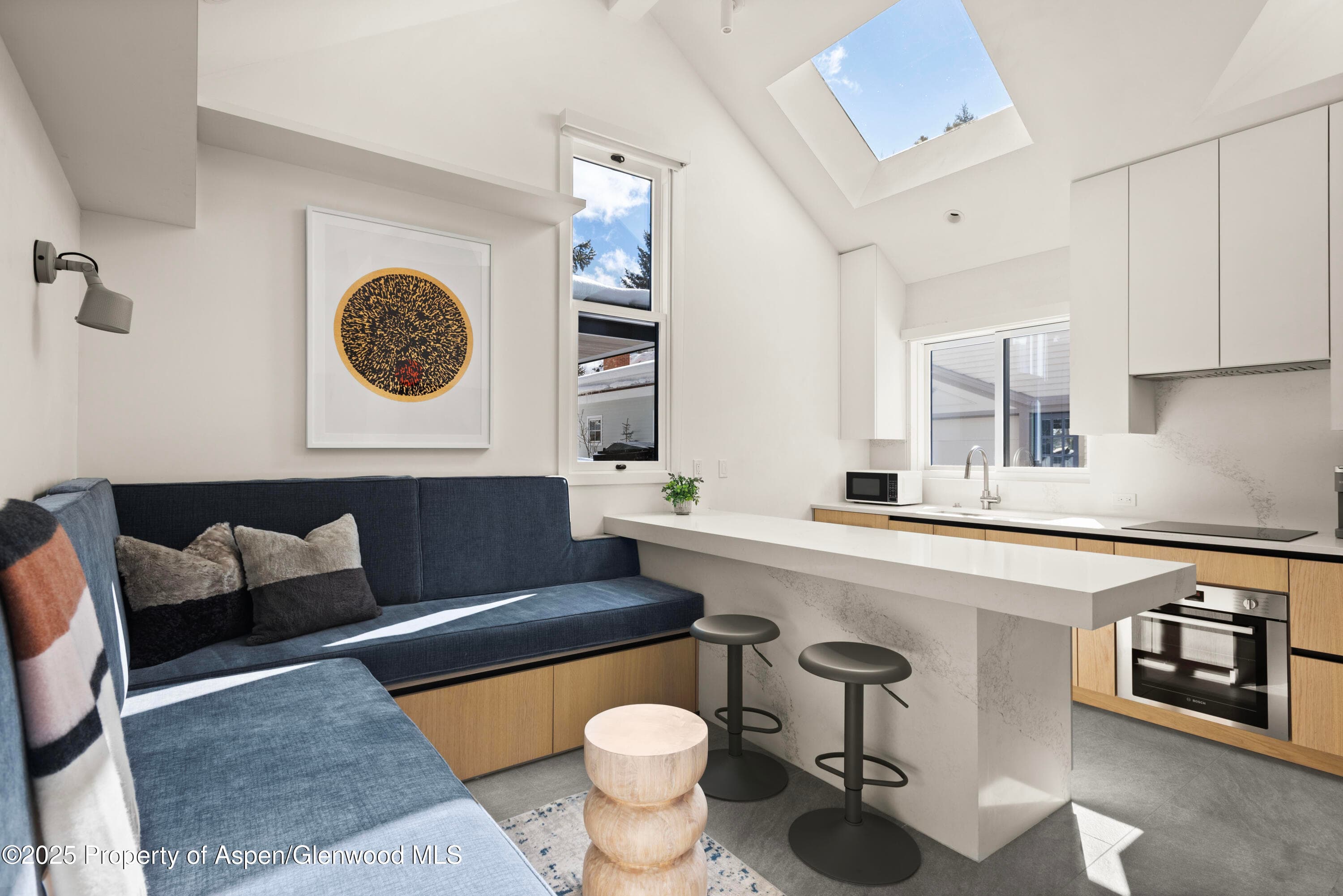 211 W Main Street 103, Aspen, CO 81611