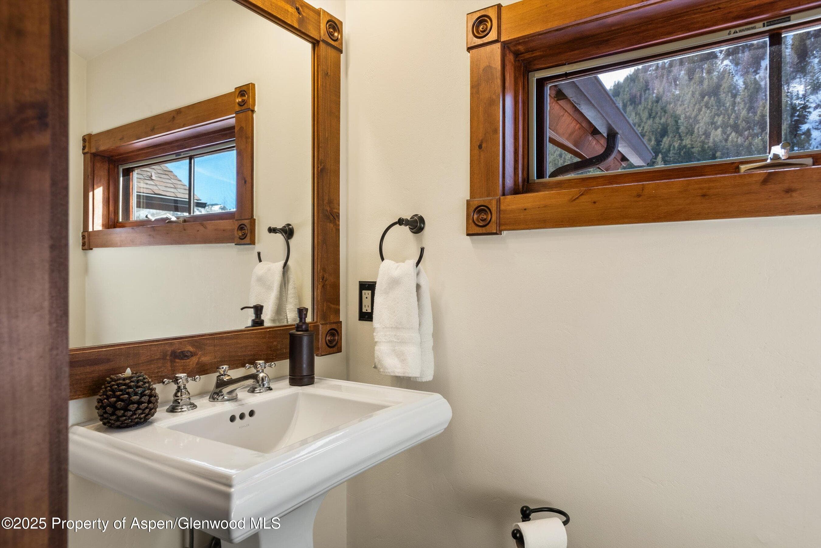 503 W Main Street B202, Aspen, CO 81611 - Photo 10