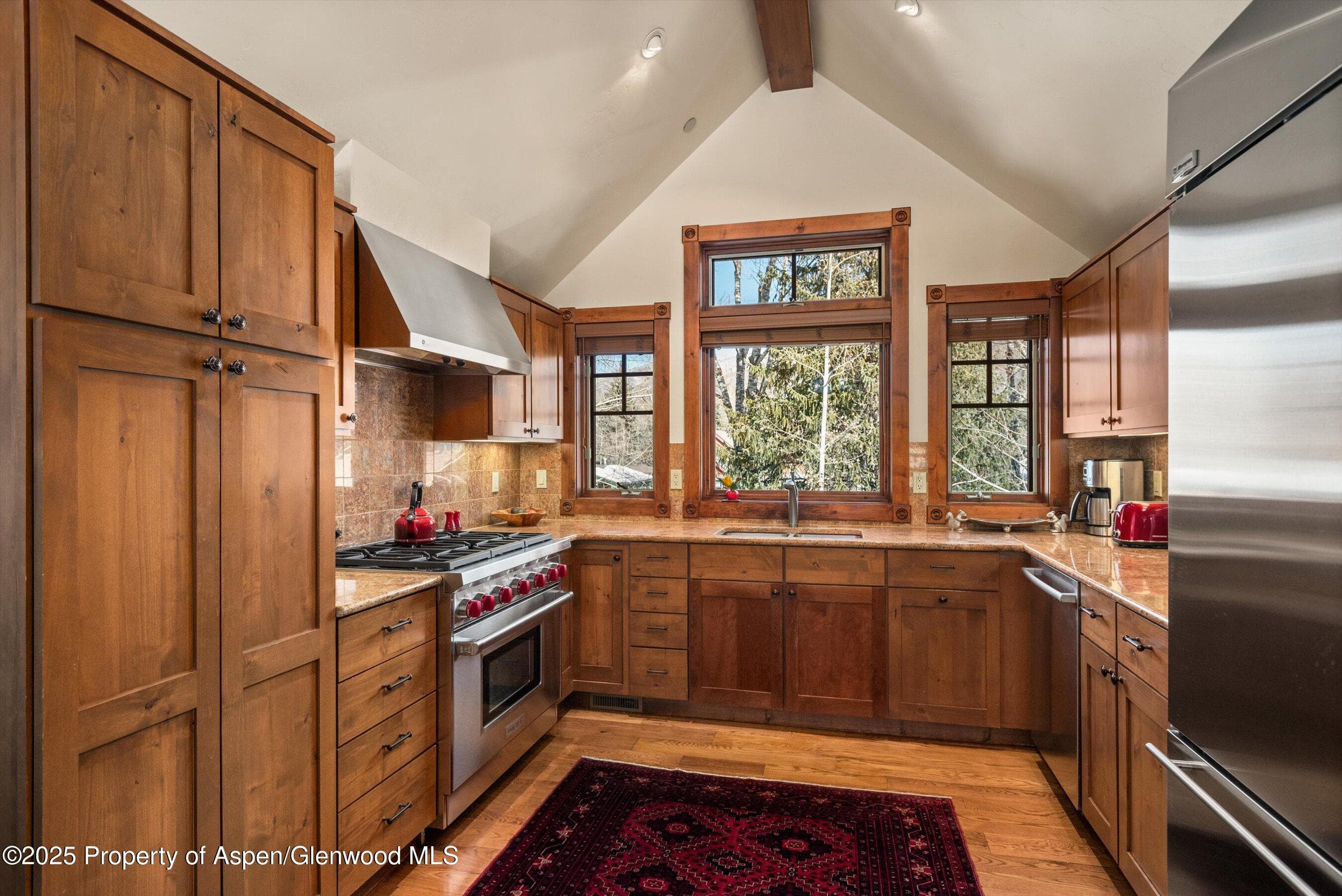 503 W Main Street B202, Aspen, CO 81611 - Photo 8