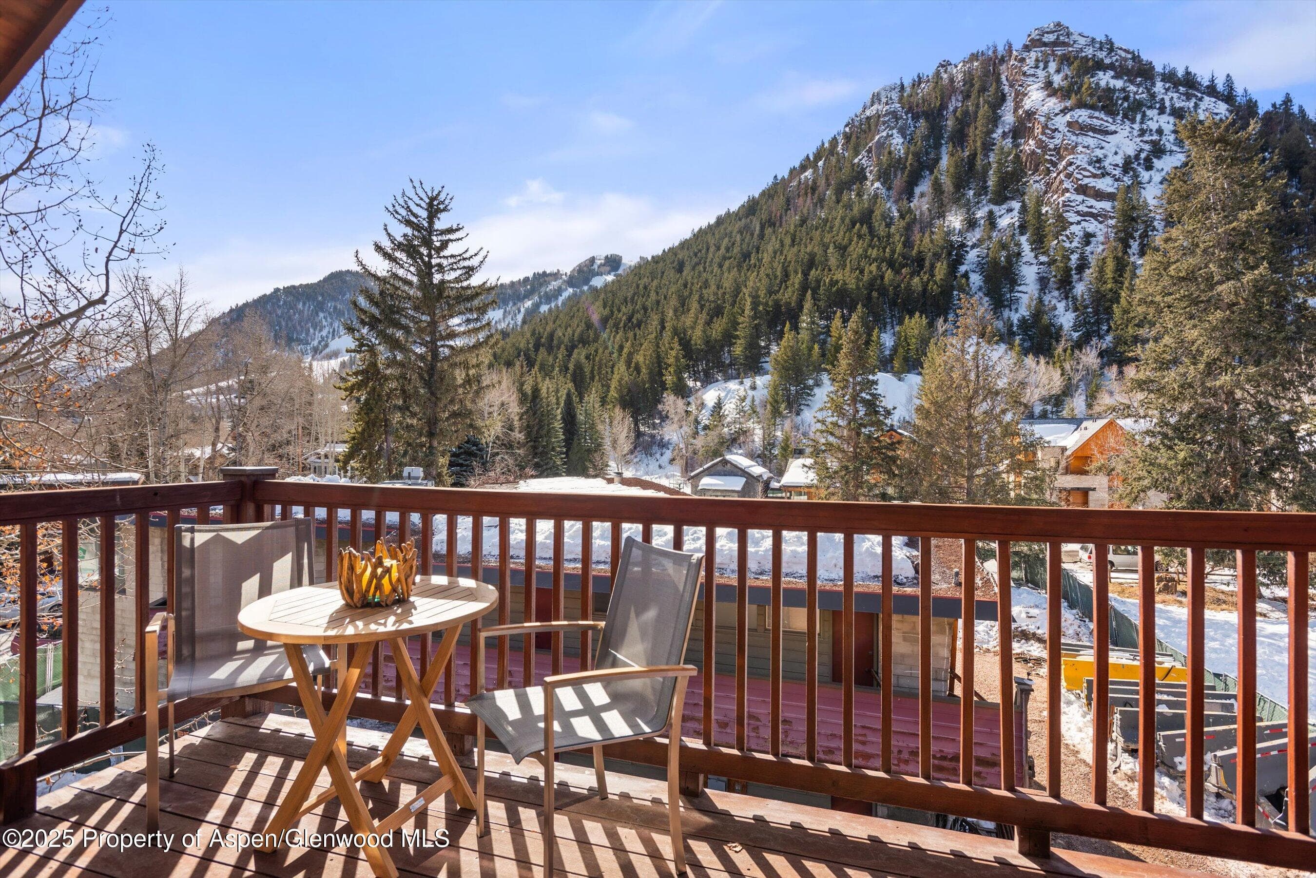 503 W Main Street B202, Aspen, CO 81611 - Photo 5