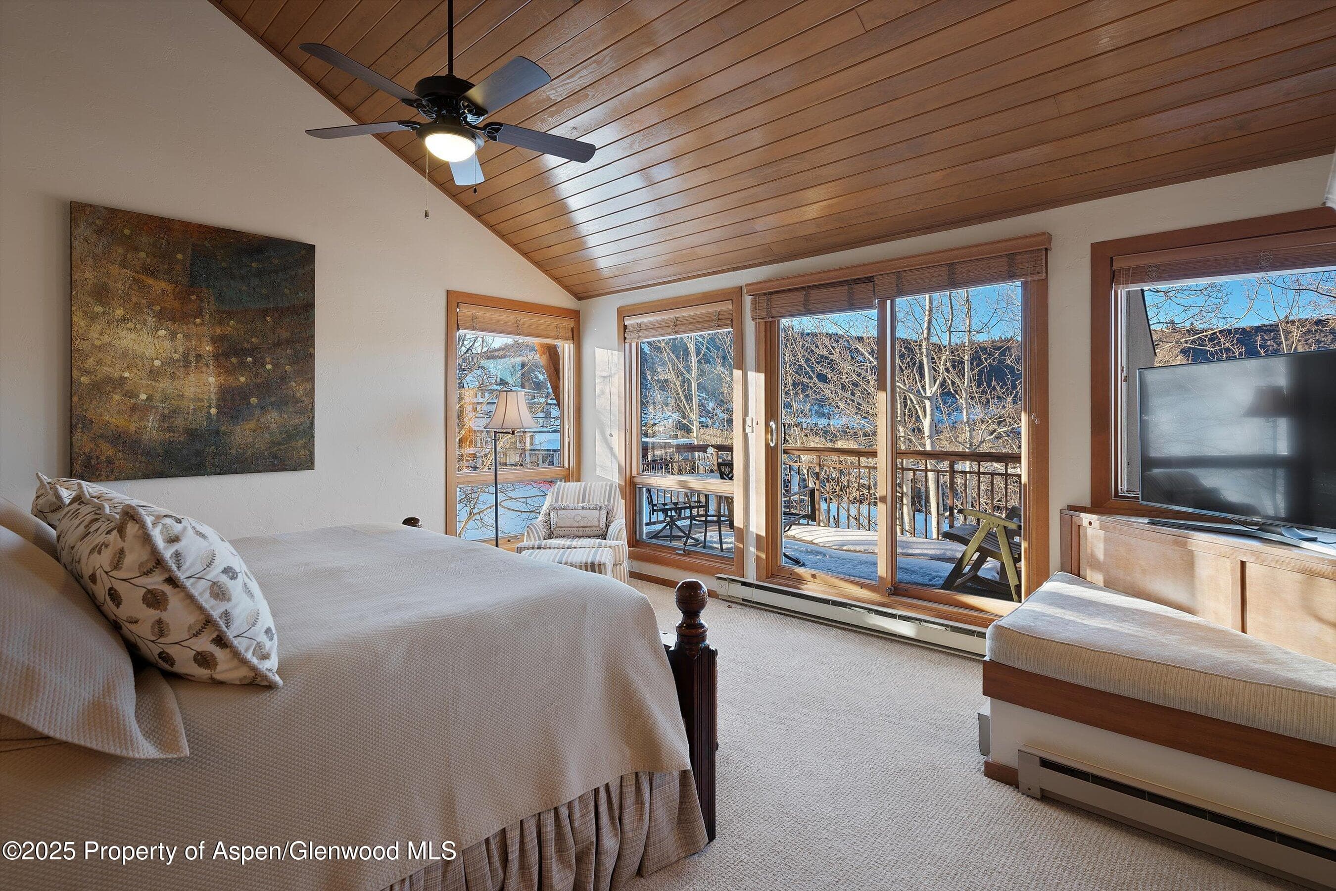 61 TRAILS END Lane 2, Snowmass Village, CO 81615 - Photo 12