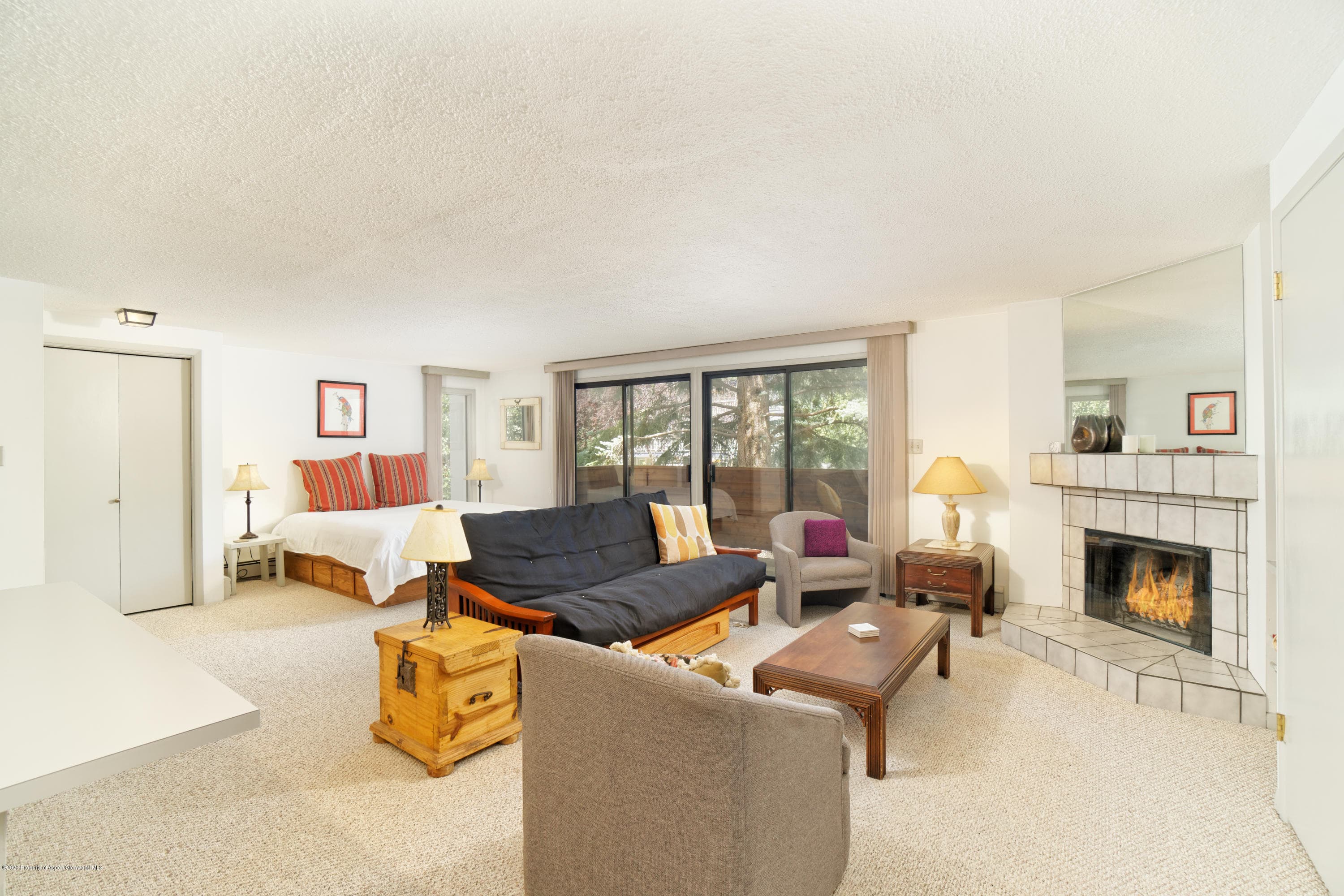 935 E Hopkins Avenue 6, Aspen, CO 81611