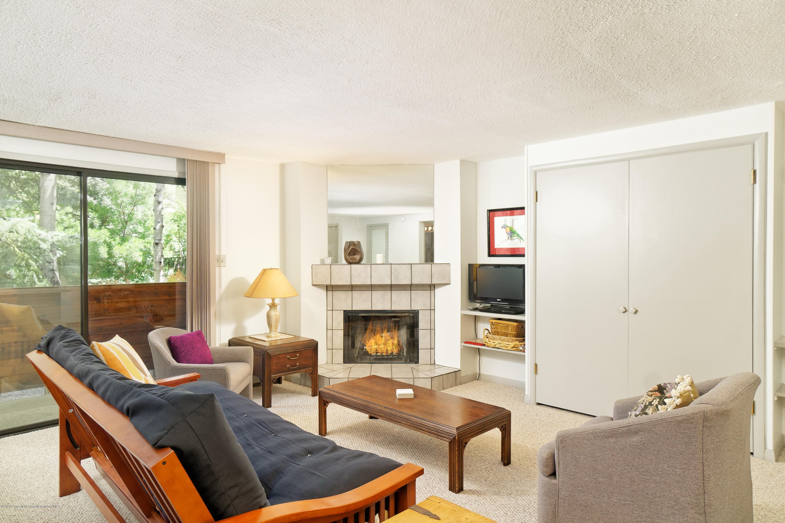935 E Hopkins Avenue 6, Aspen, CO 81611 - Photo 2