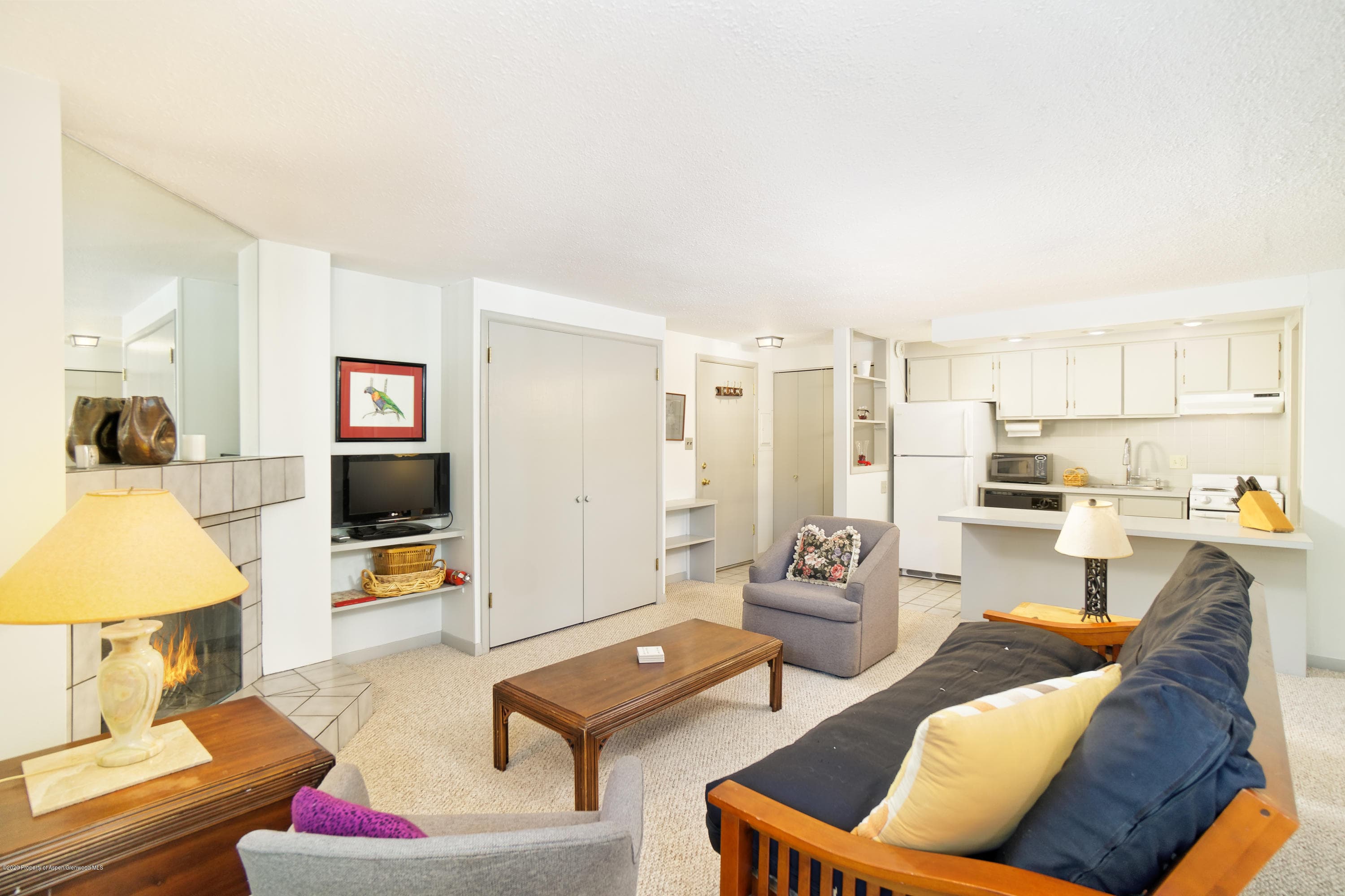 935 E Hopkins Avenue 6, Aspen, CO 81611 - Photo 3
