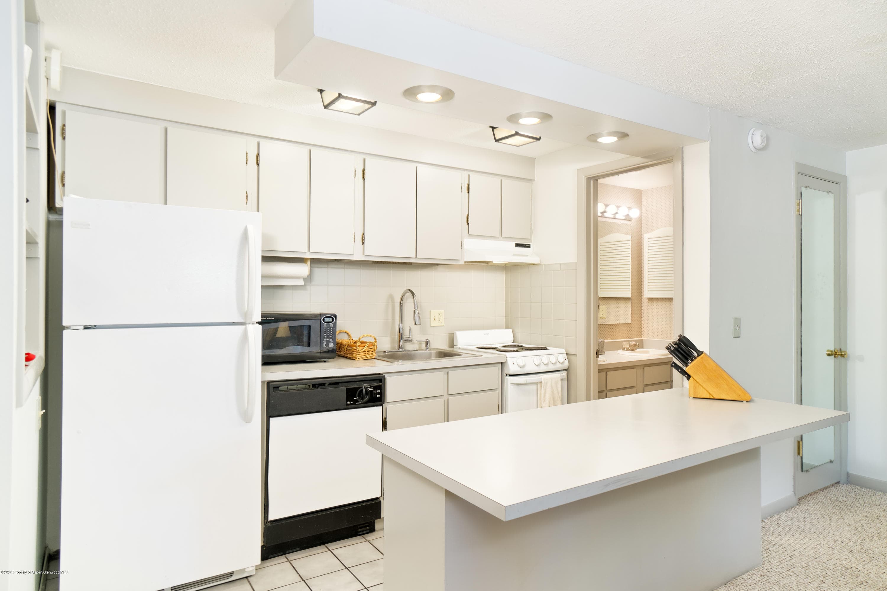935 E Hopkins Avenue 6, Aspen, CO 81611 - Photo 4