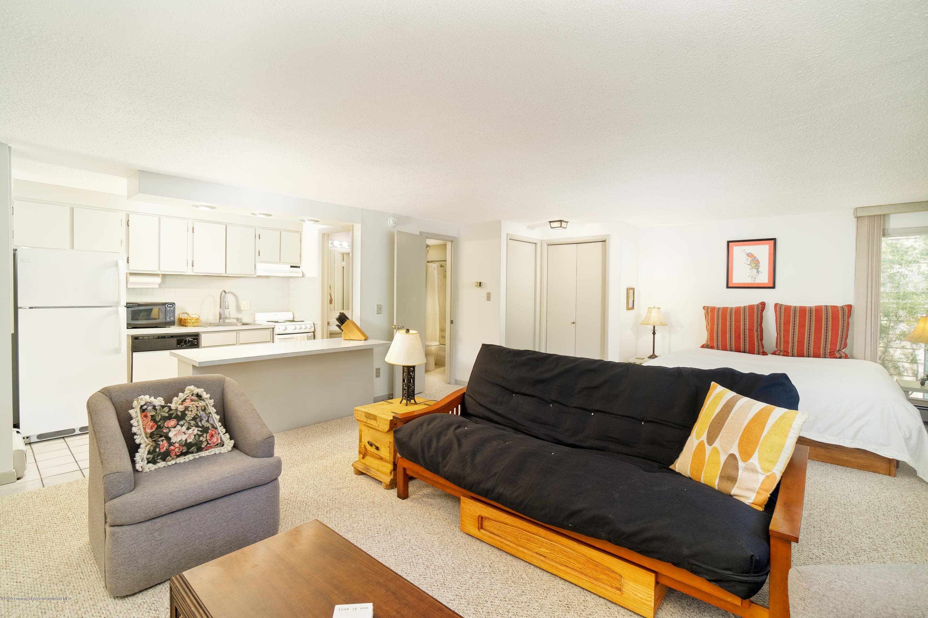 935 E Hopkins Avenue 6, Aspen, CO 81611 - Photo 5
