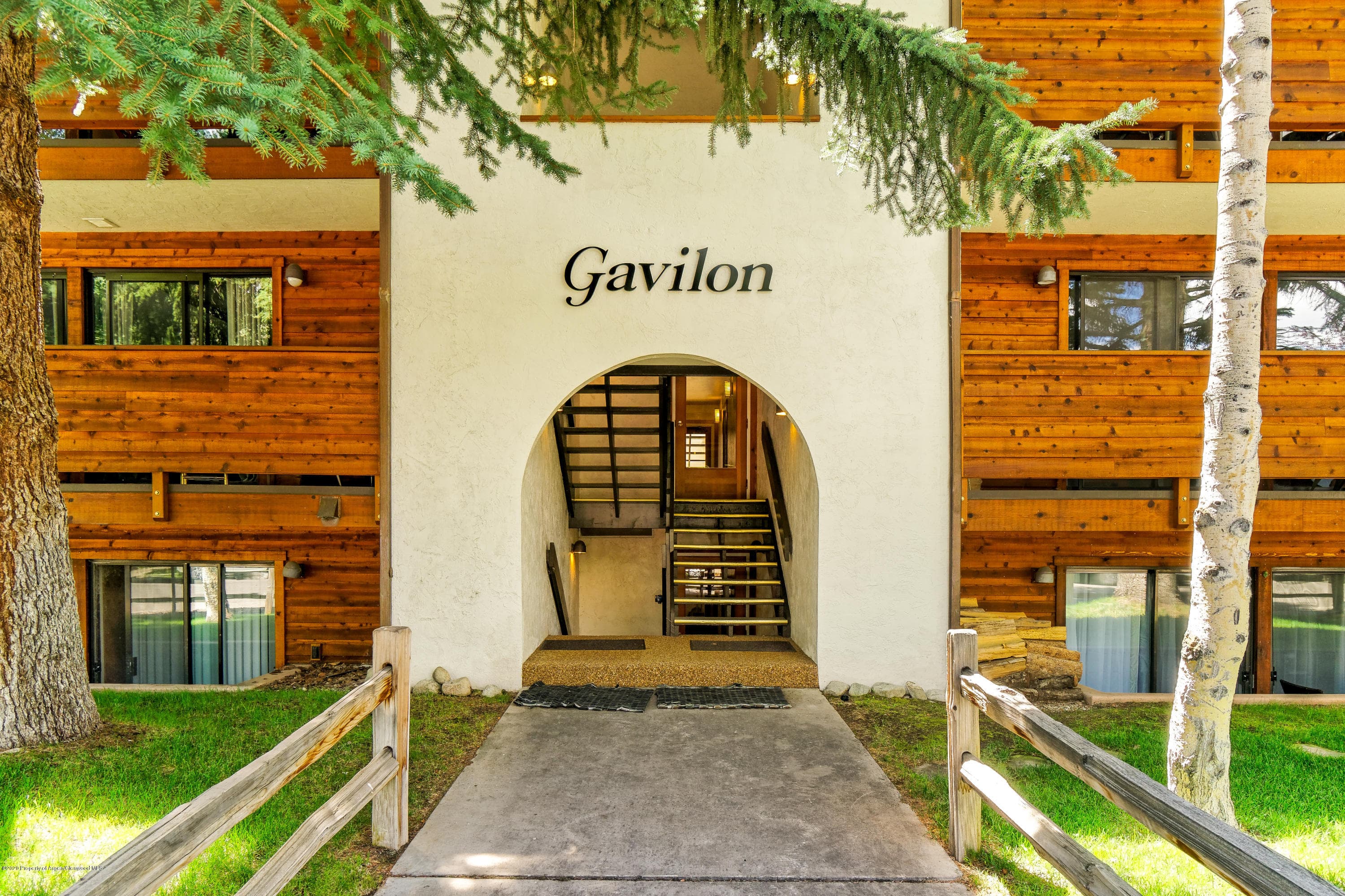 935 E Hopkins Avenue 6, Aspen, CO 81611 - Photo 6