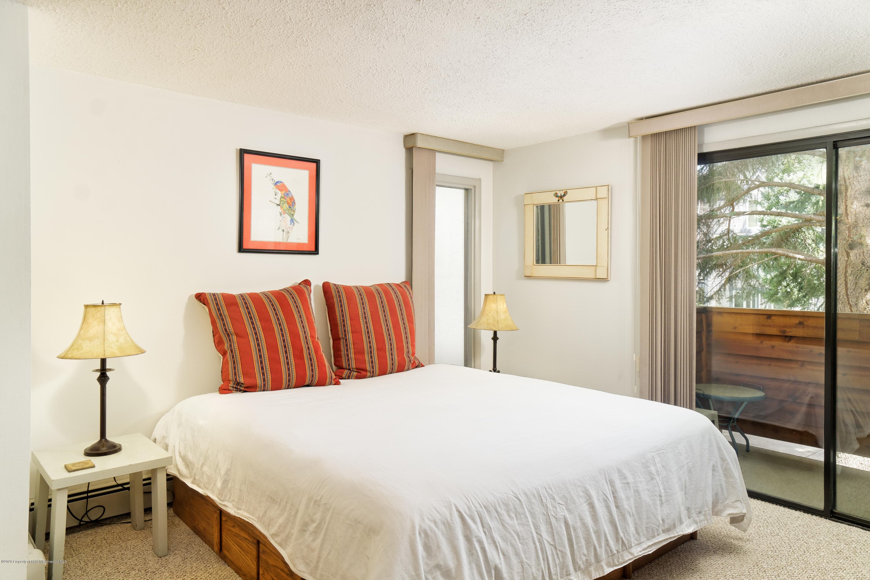 935 E Hopkins Avenue 6, Aspen, CO 81611 - Photo 7