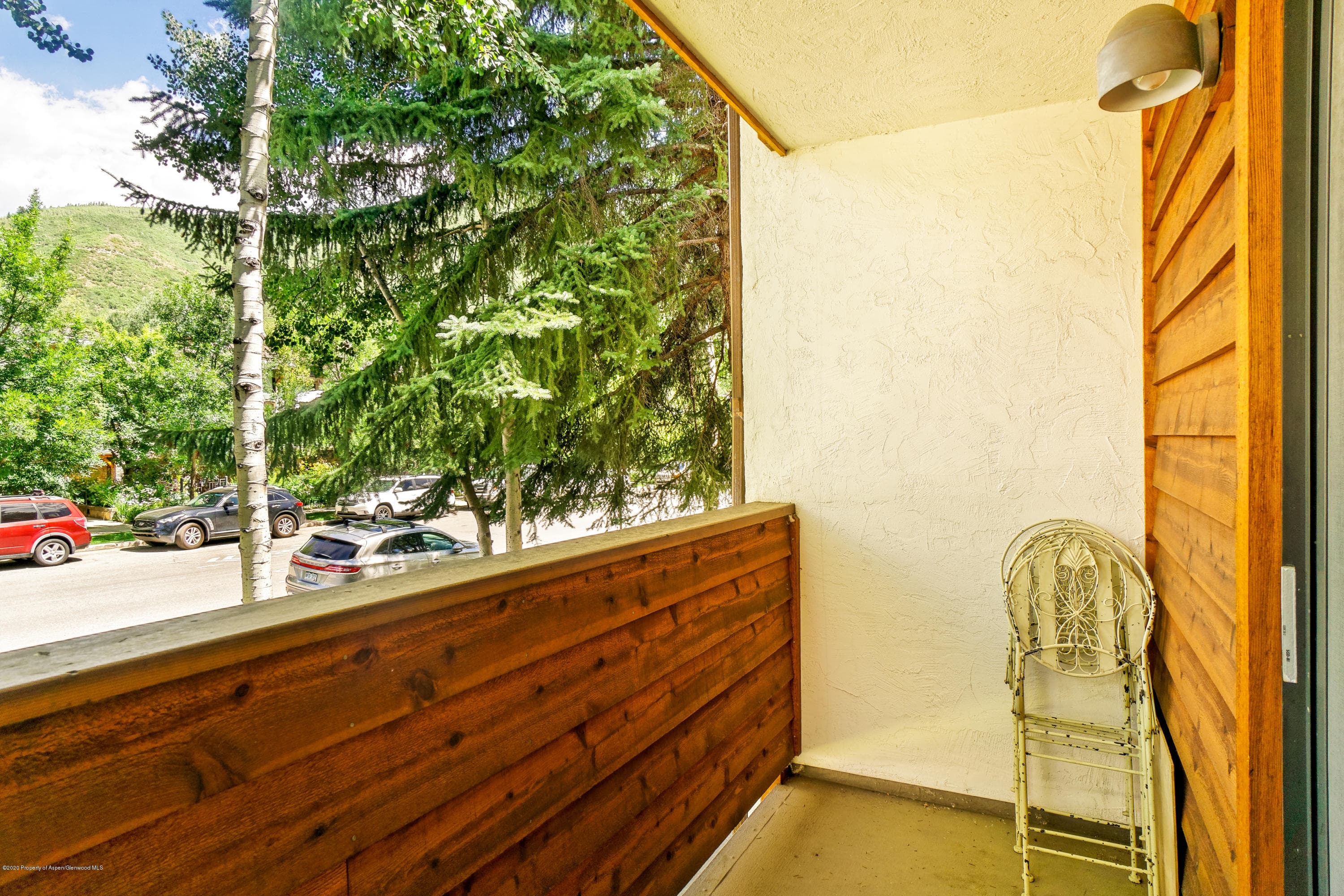 935 E Hopkins Avenue 6, Aspen, CO 81611 - Photo 8