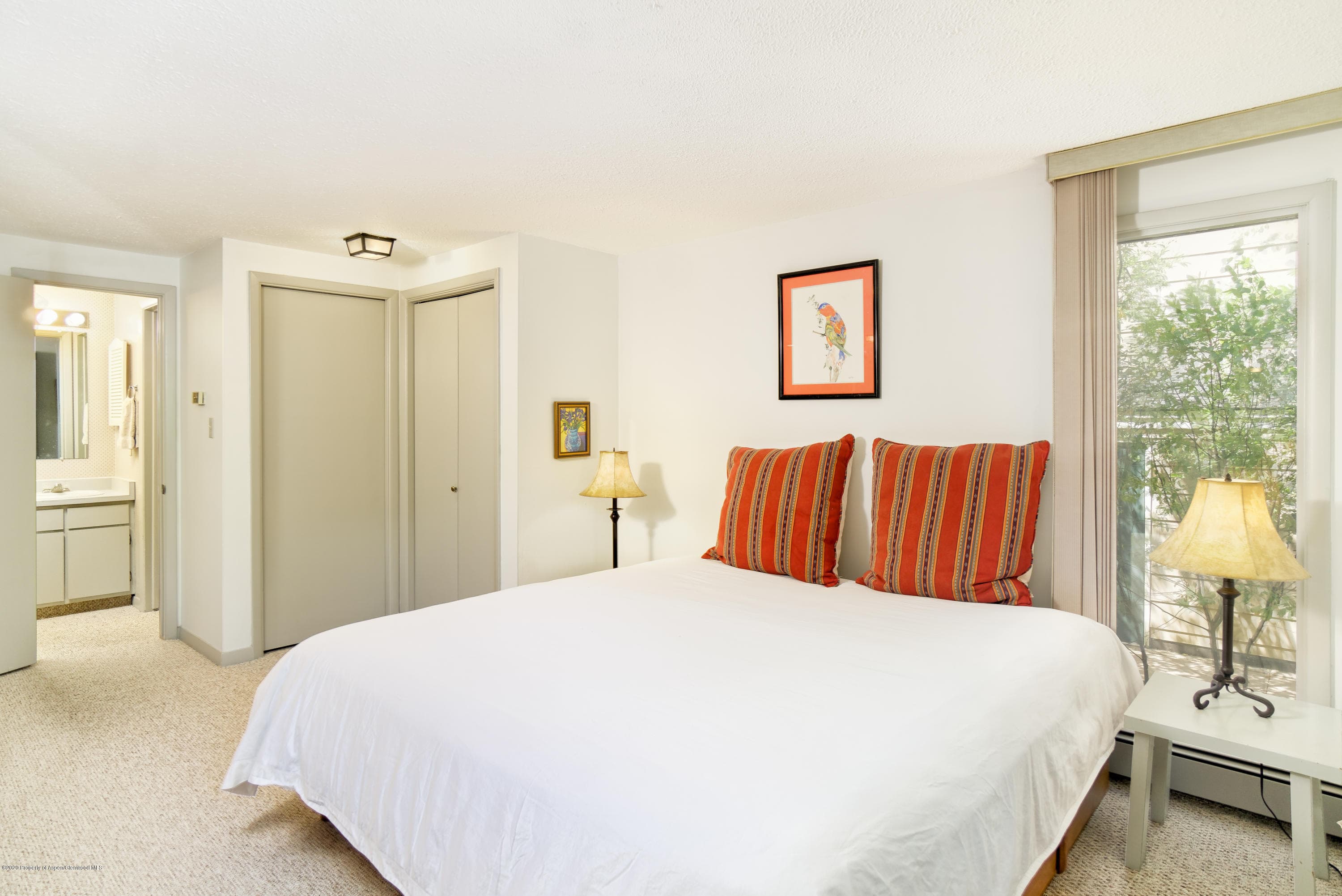 935 E Hopkins Avenue 6, Aspen, CO 81611 - Photo 9