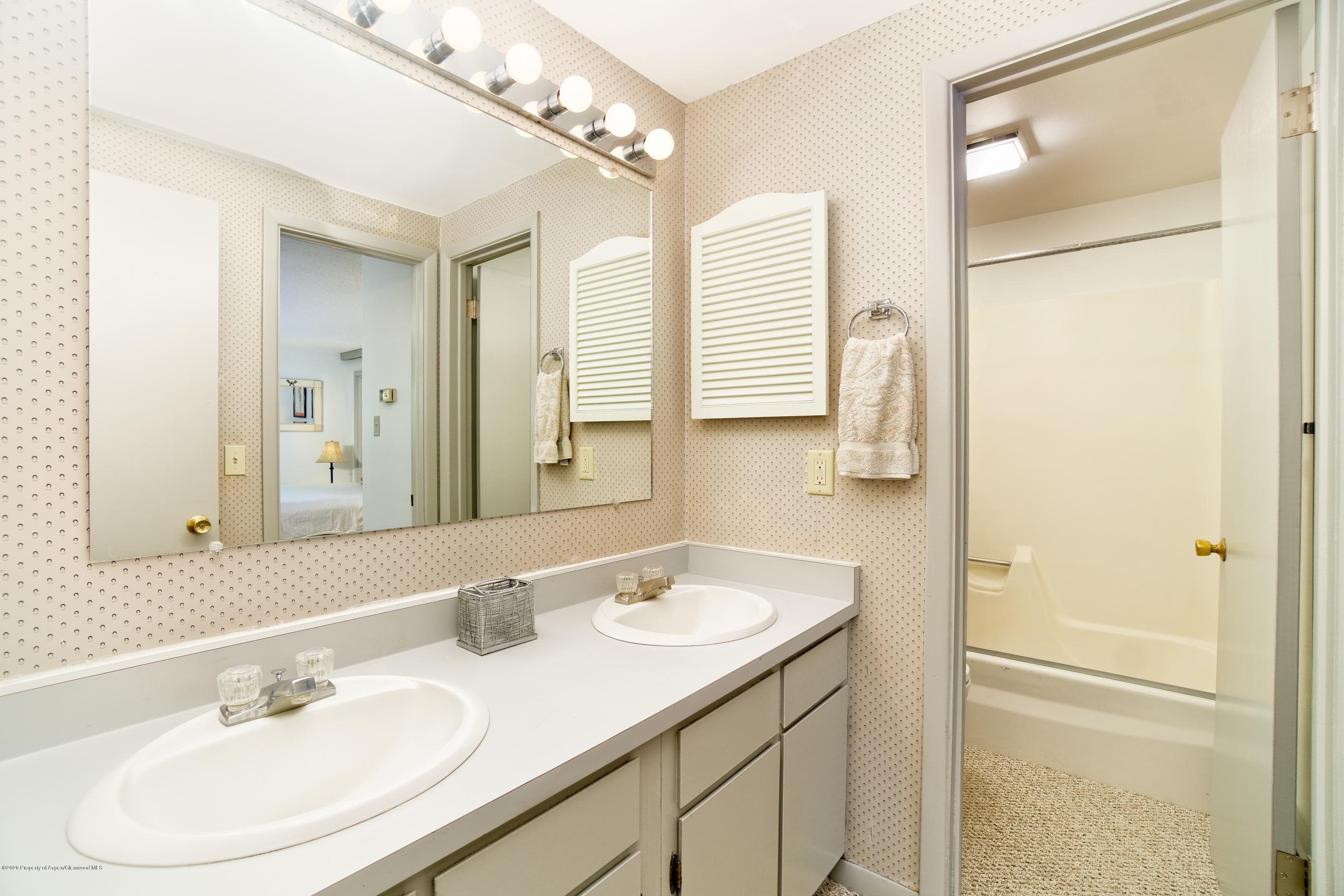 935 E Hopkins Avenue 6, Aspen, CO 81611 - Photo 10