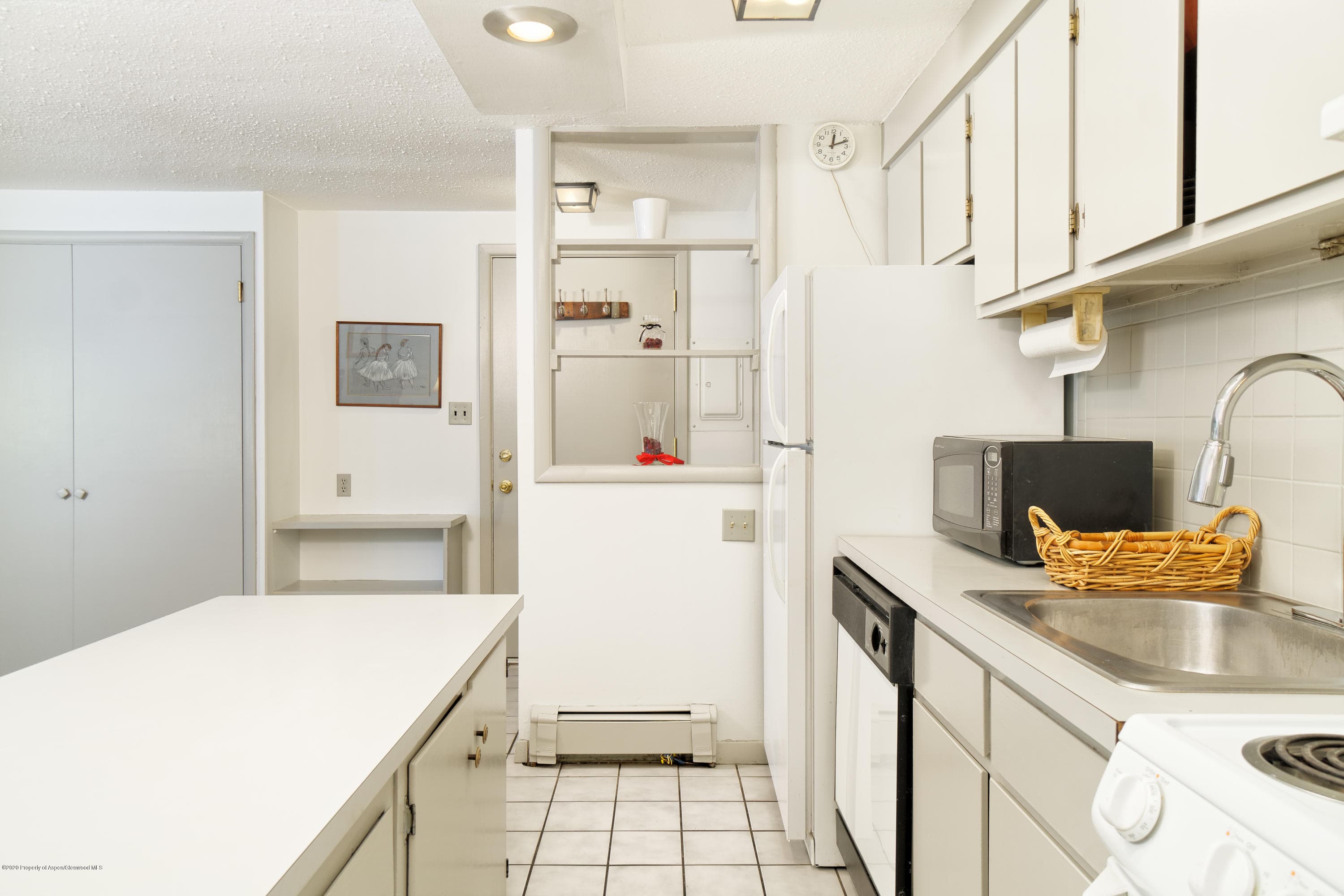 935 E Hopkins Avenue 6, Aspen, CO 81611 - Photo 11