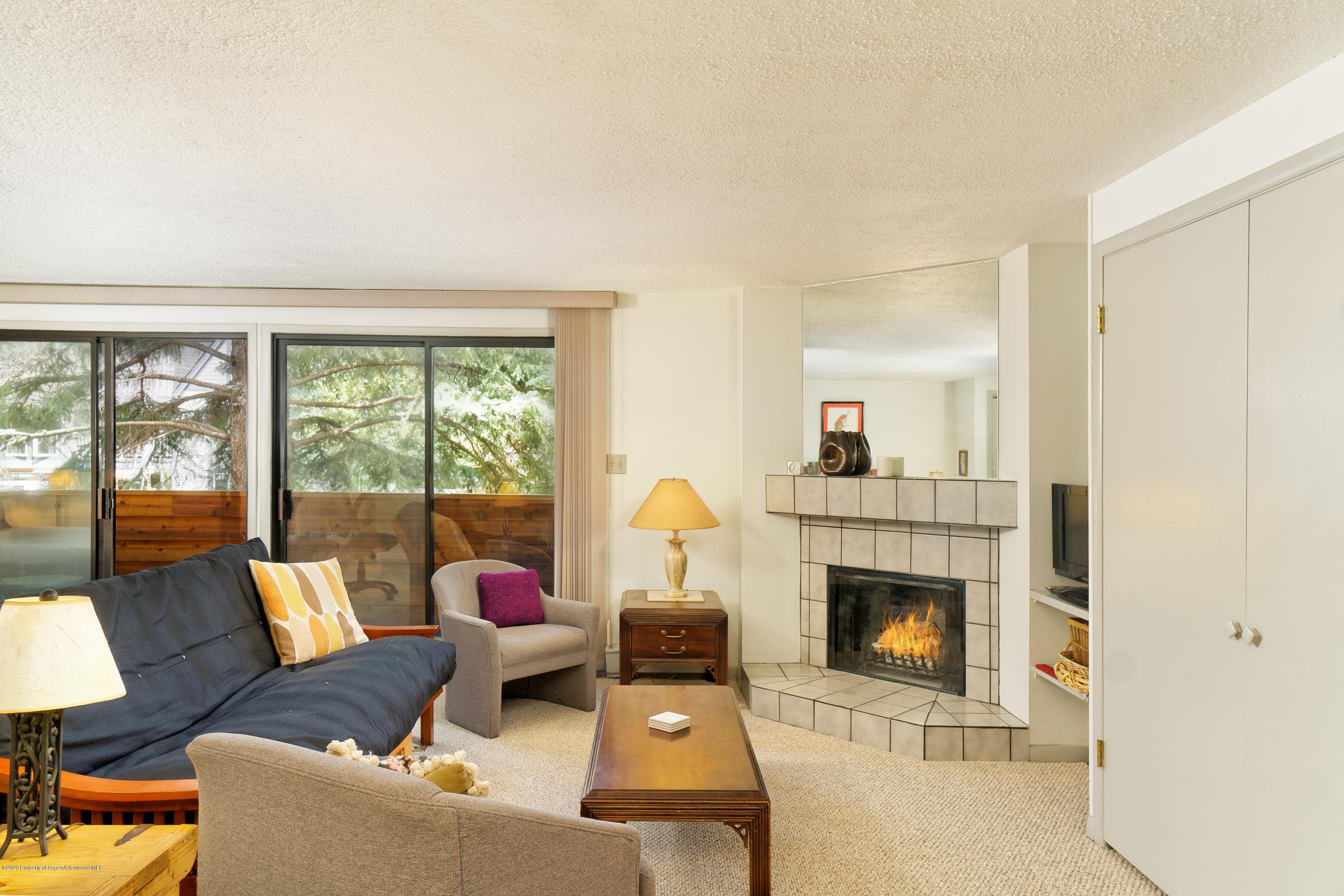 935 E Hopkins Avenue 6, Aspen, CO 81611 - Photo 12