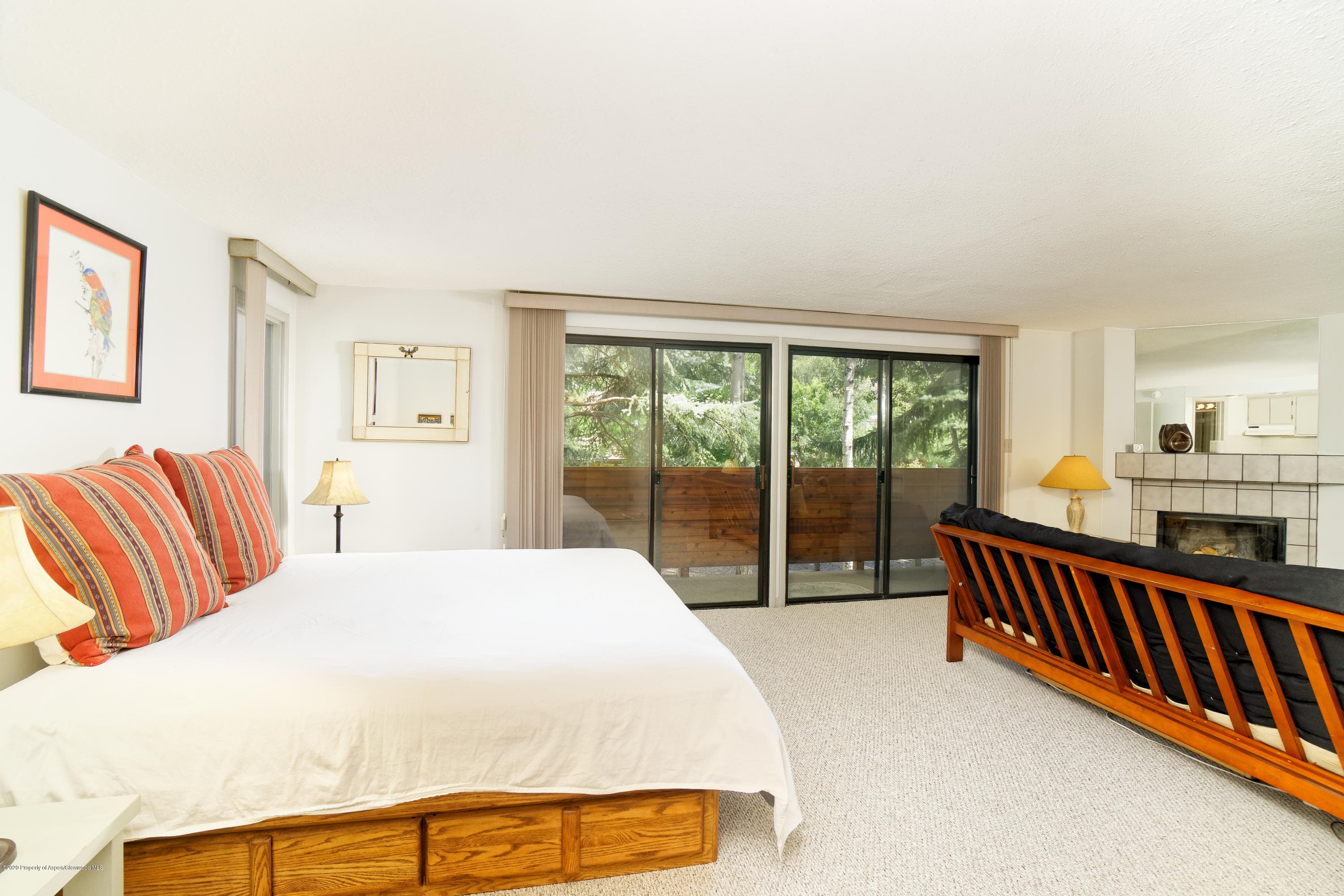 935 E Hopkins Avenue 6, Aspen, CO 81611 - Photo 13