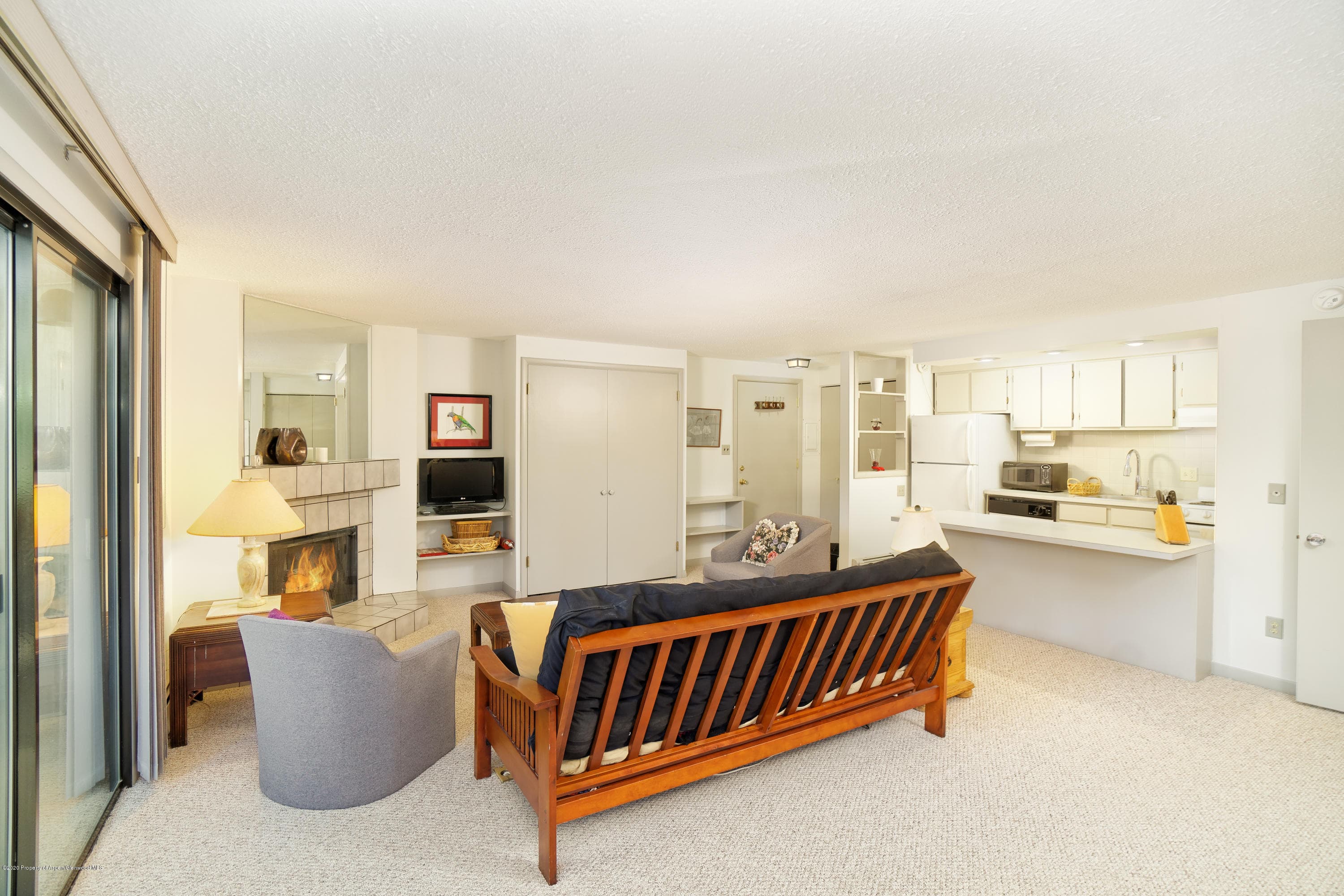 935 E Hopkins Avenue 6, Aspen, CO 81611 - Photo 14