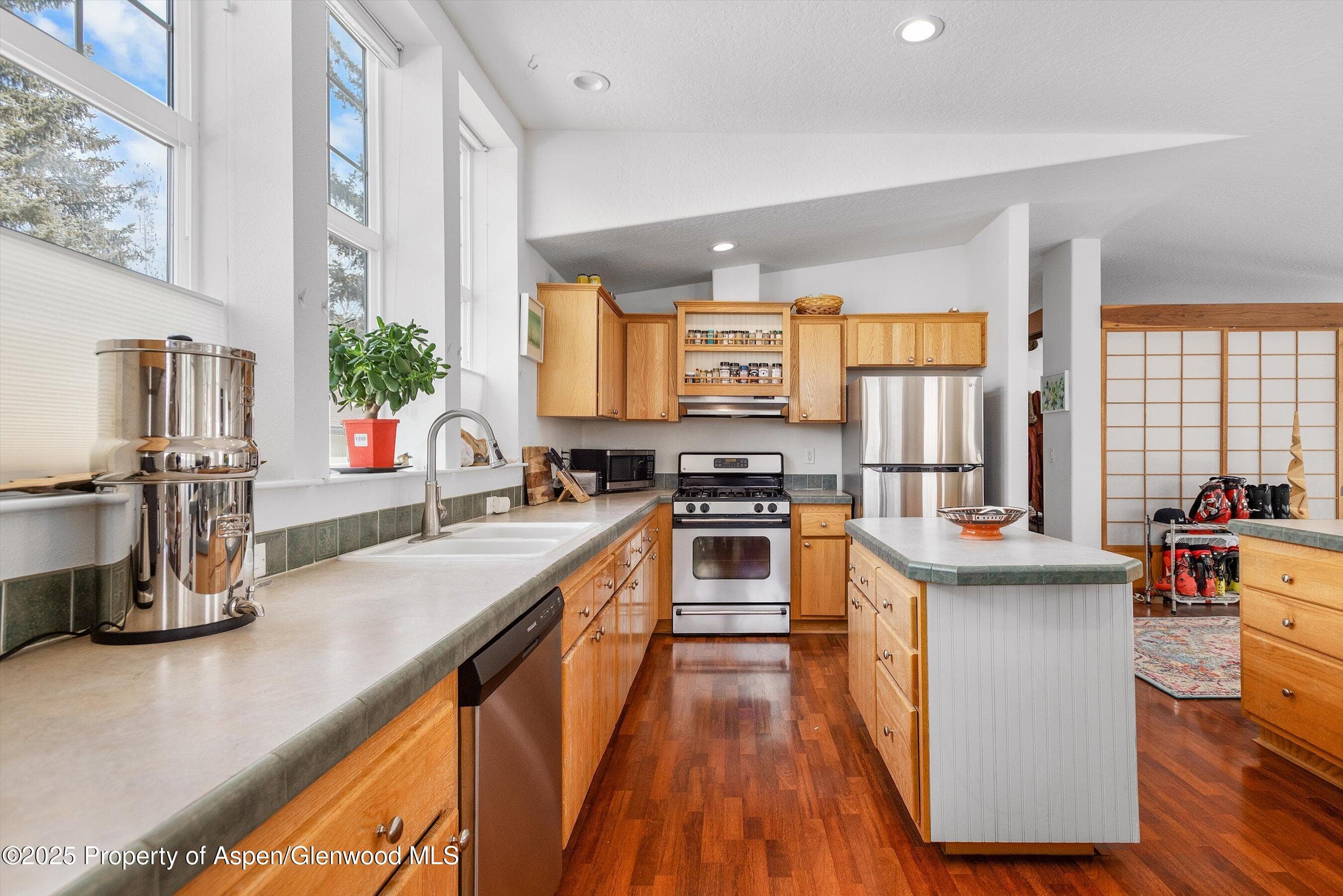 30 Half Inch, Aspen, CO 81611 - Photo 11