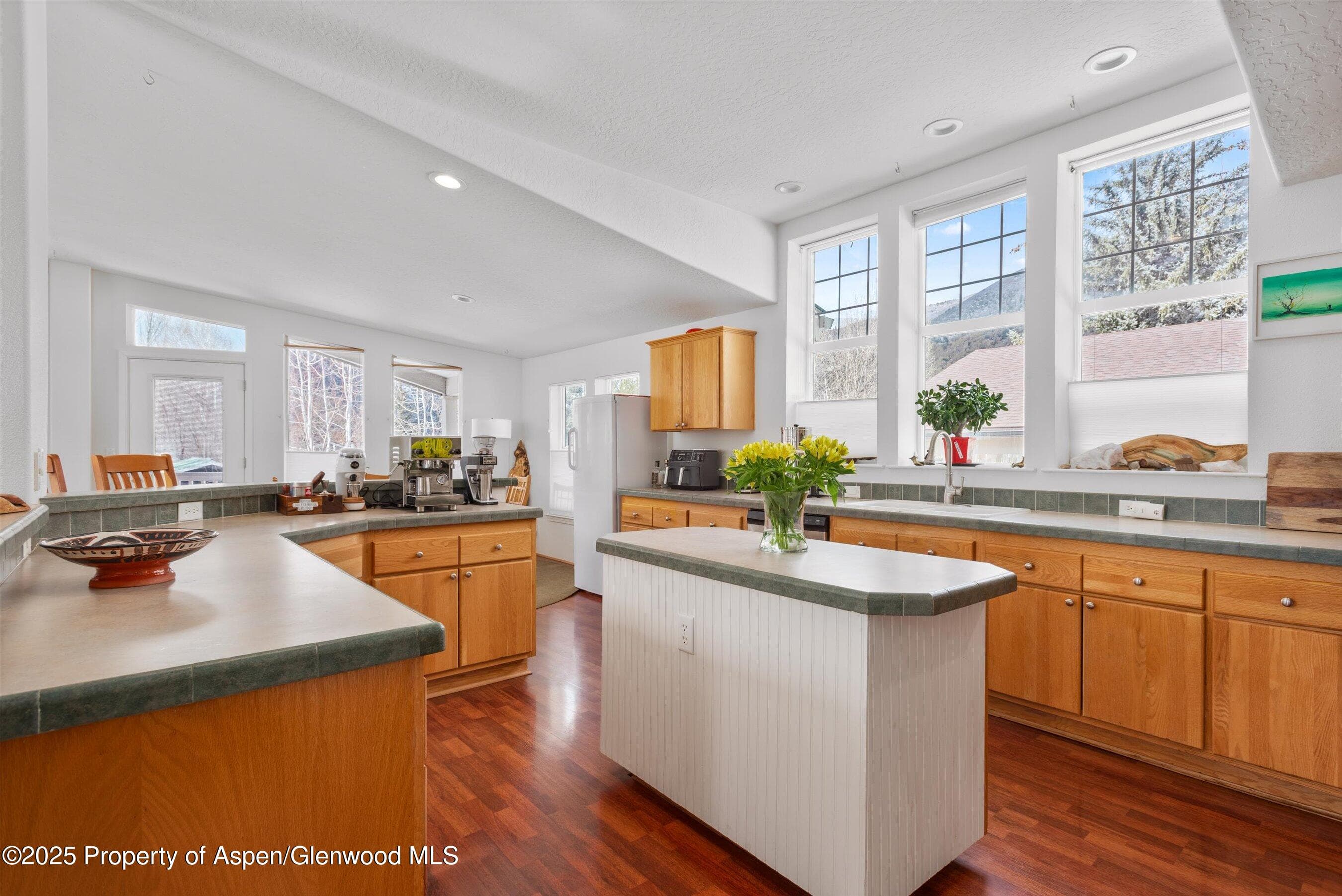 30 Half Inch, Aspen, CO 81611 - Photo 12