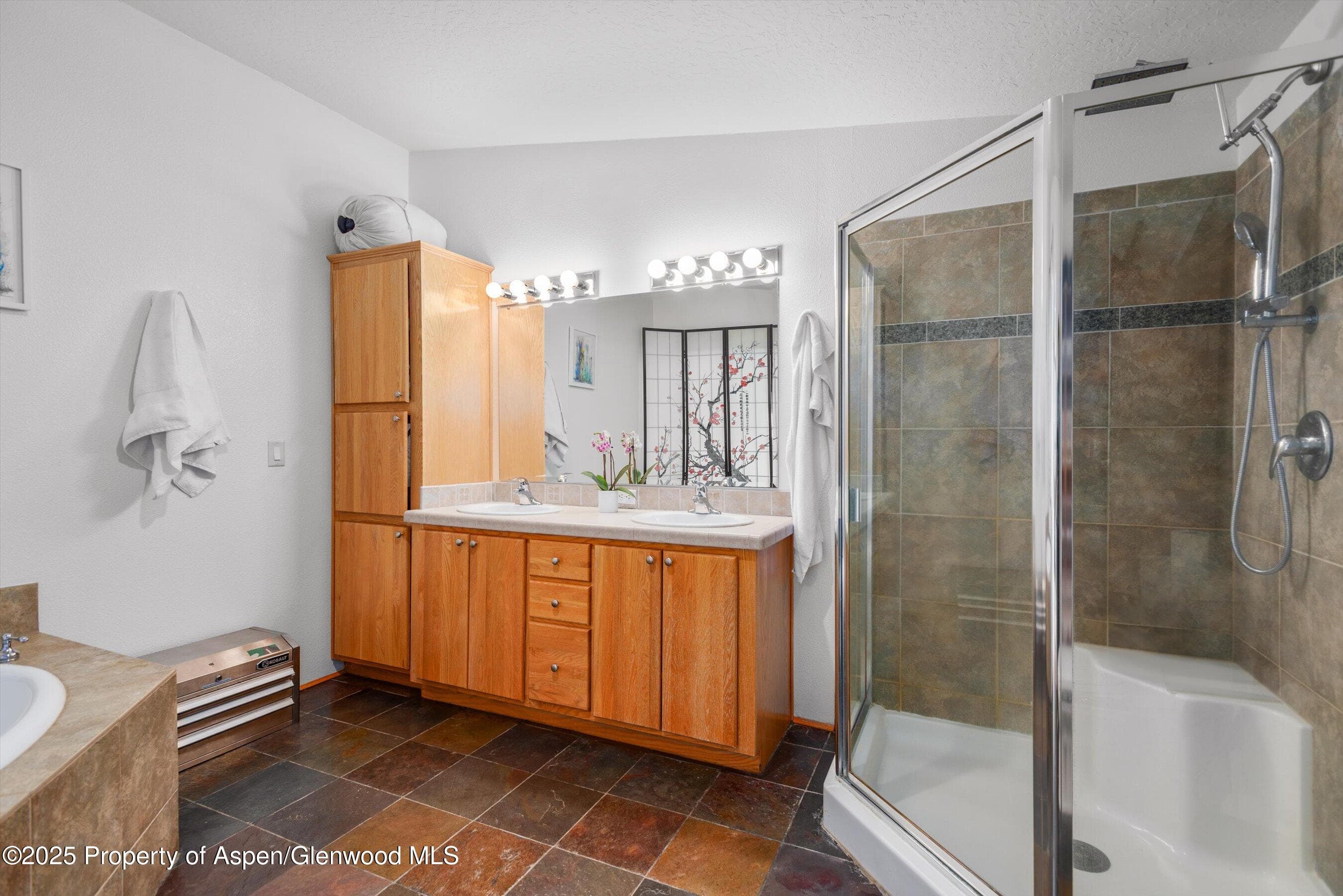 30 Half Inch, Aspen, CO 81611 - Photo 19