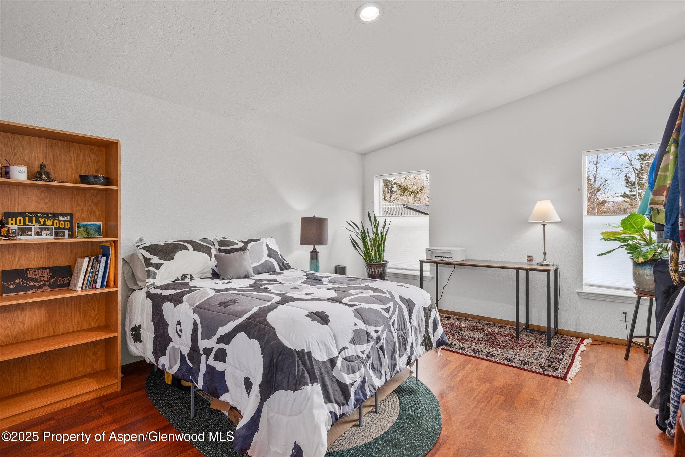 30 Half Inch, Aspen, CO 81611 - Photo 21
