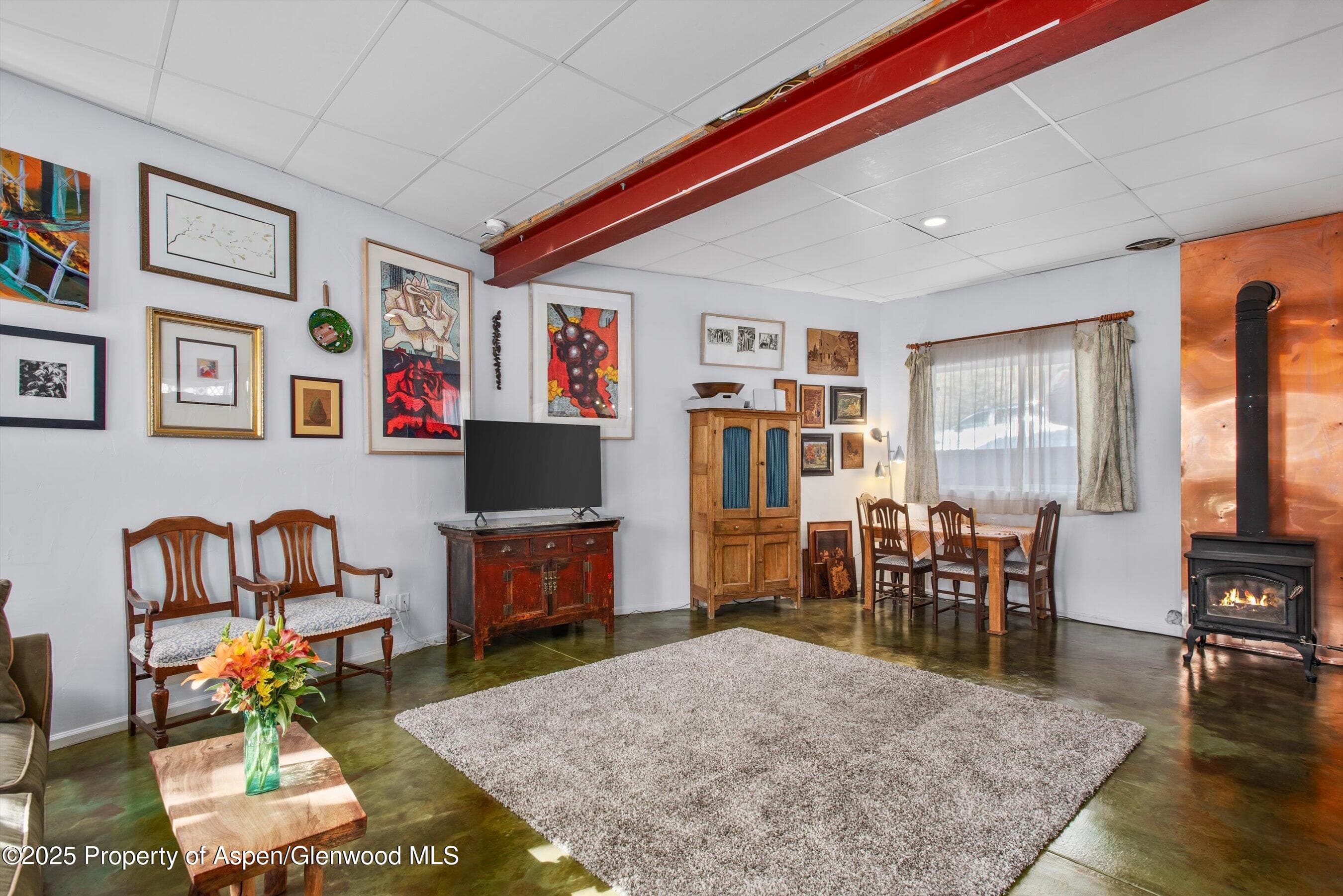 30 Half Inch, Aspen, CO 81611 - Photo 29
