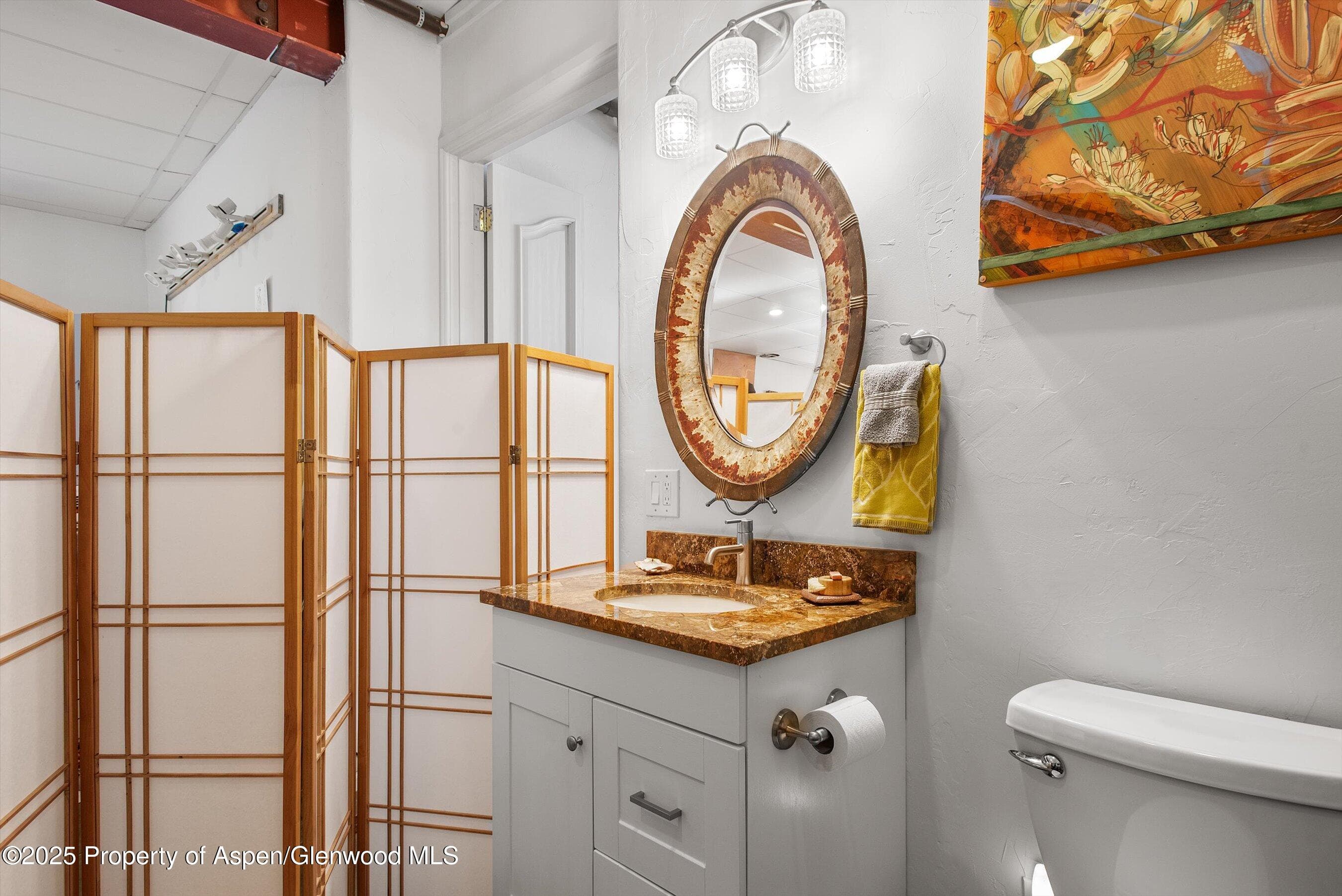30 Half Inch, Aspen, CO 81611 - Photo 31