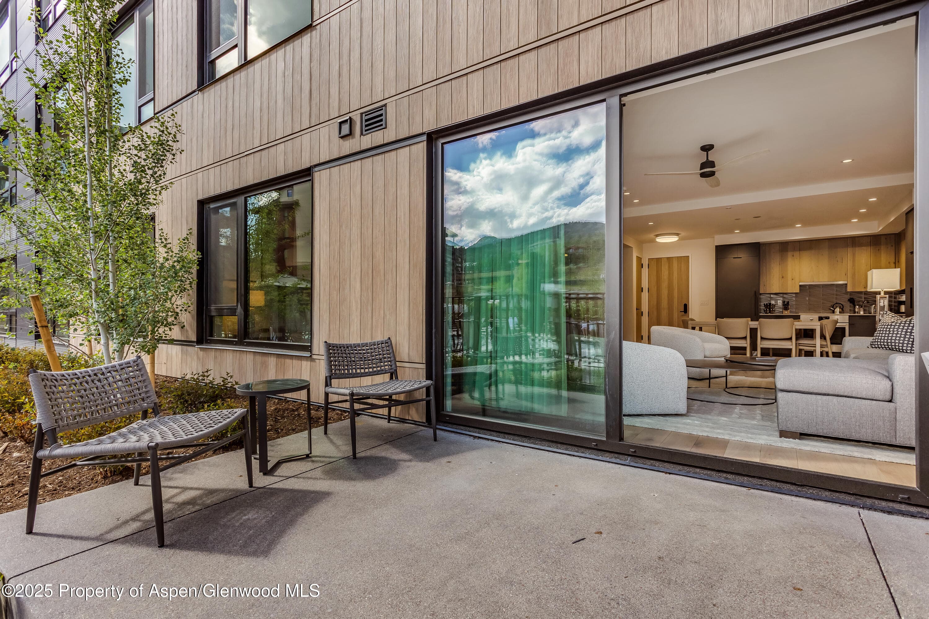 119 Wood Road 103, Snowmass Village, CO 81615 - Photo 19