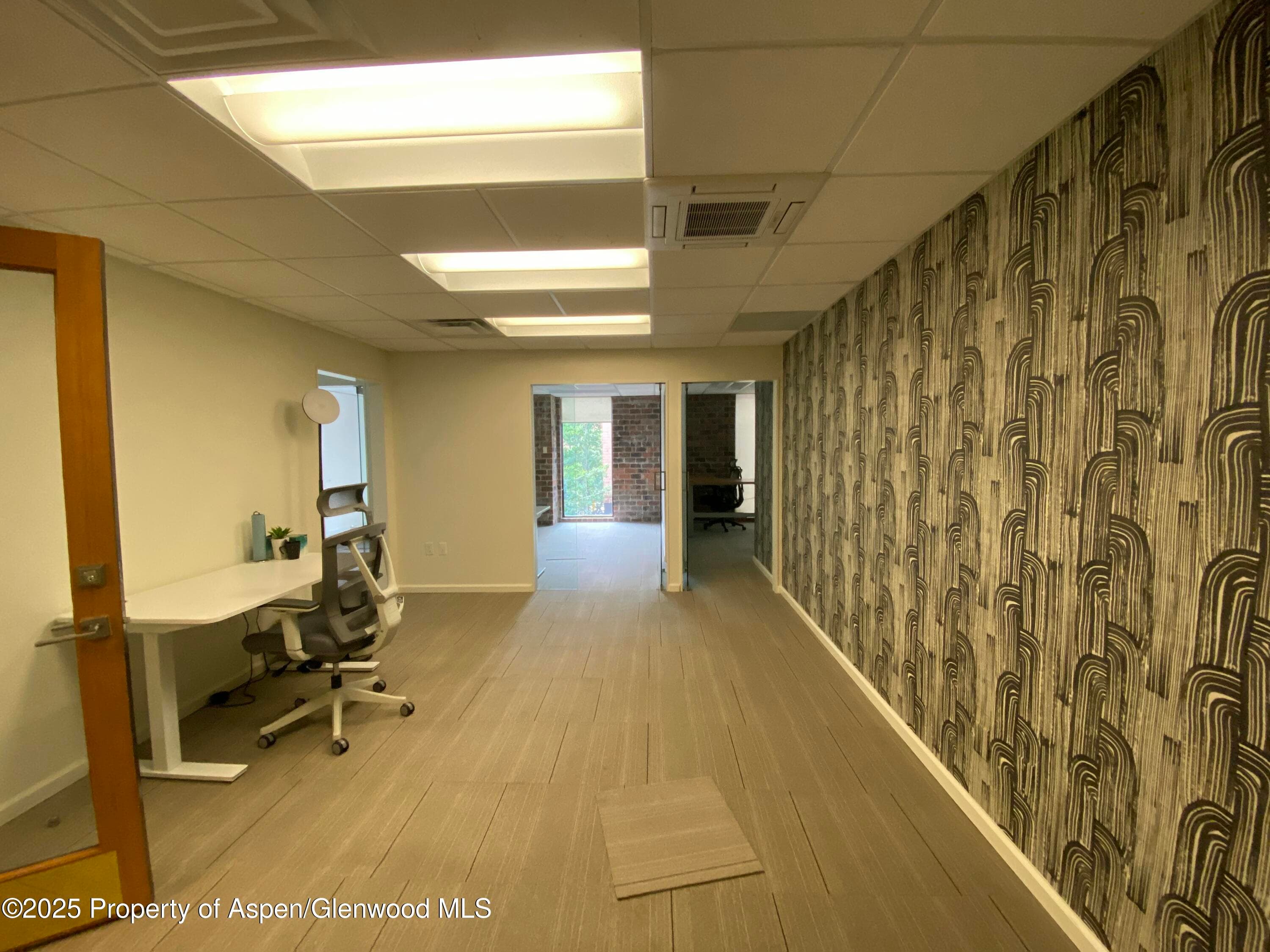 420 E Main Street 200, Aspen, CO 81611 - Photo 1