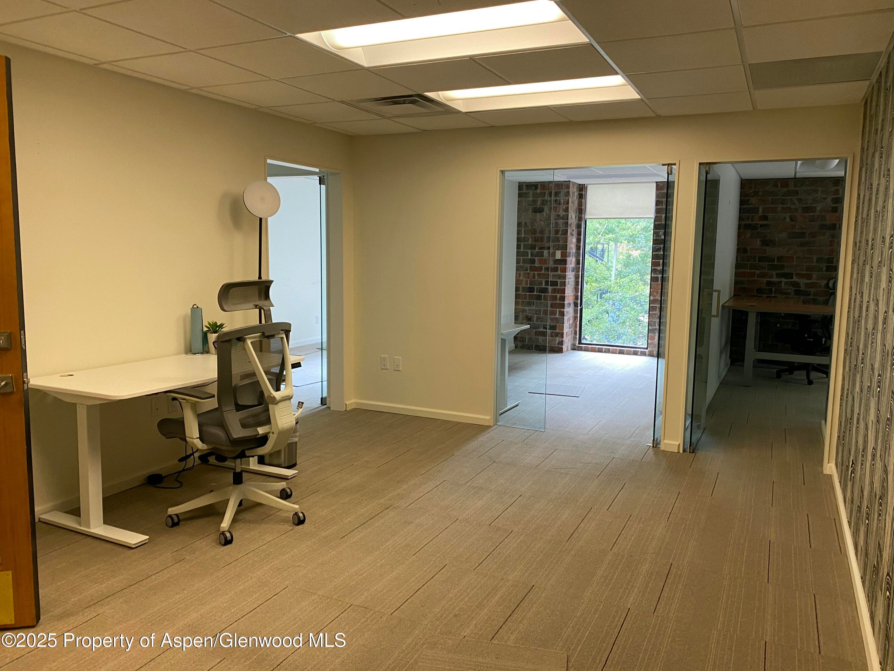 420 E Main Street 200, Aspen, CO 81611 - Photo 2